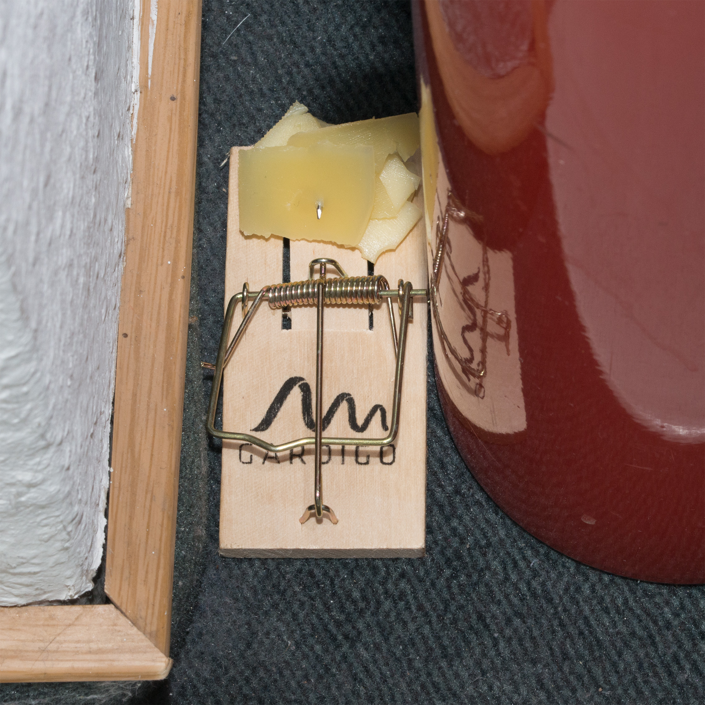 Bestücken Sie die Falle mit einem geeigneten Köder, wie Käse oder Nuss-Nougat-Creme, und stellen Sie sie auf, wo sie benötigt wird.