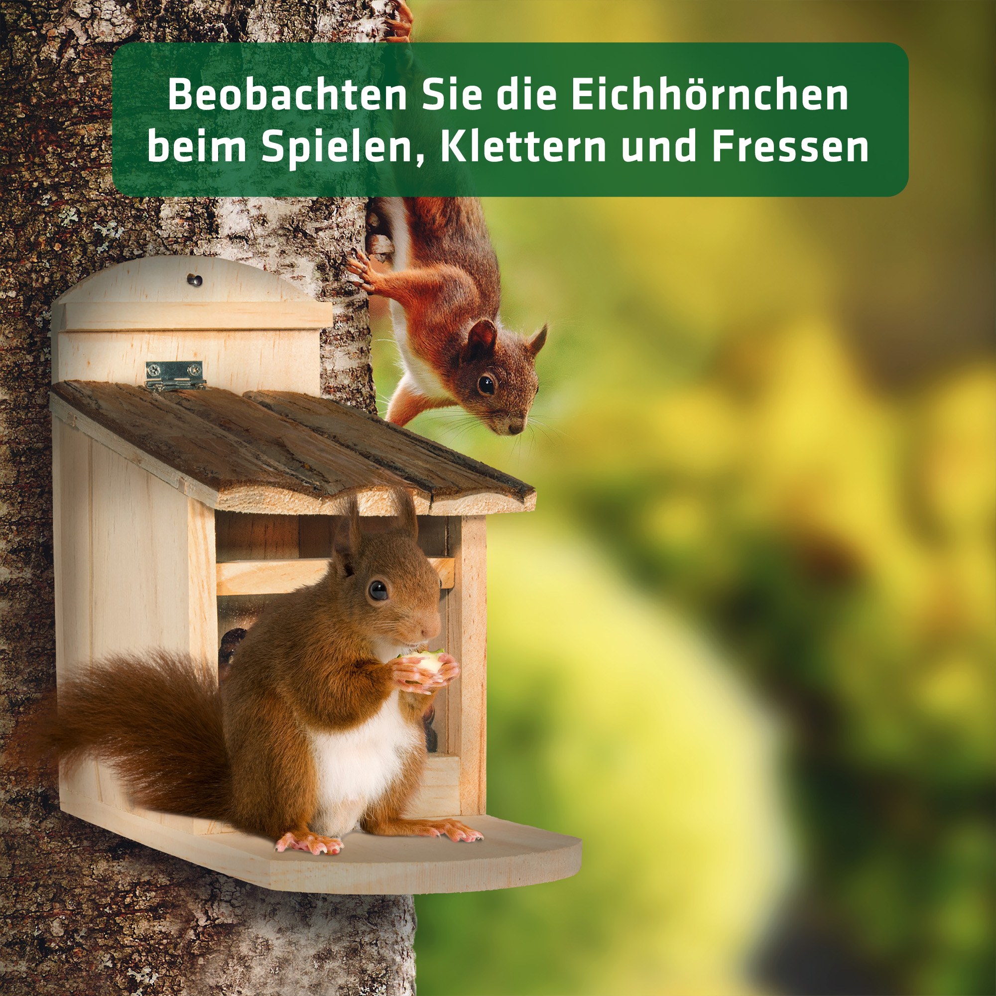Das Haus hat eine kleine Sitzfläche damit die Eichhörnchen sich beim knabbern entspannen können.