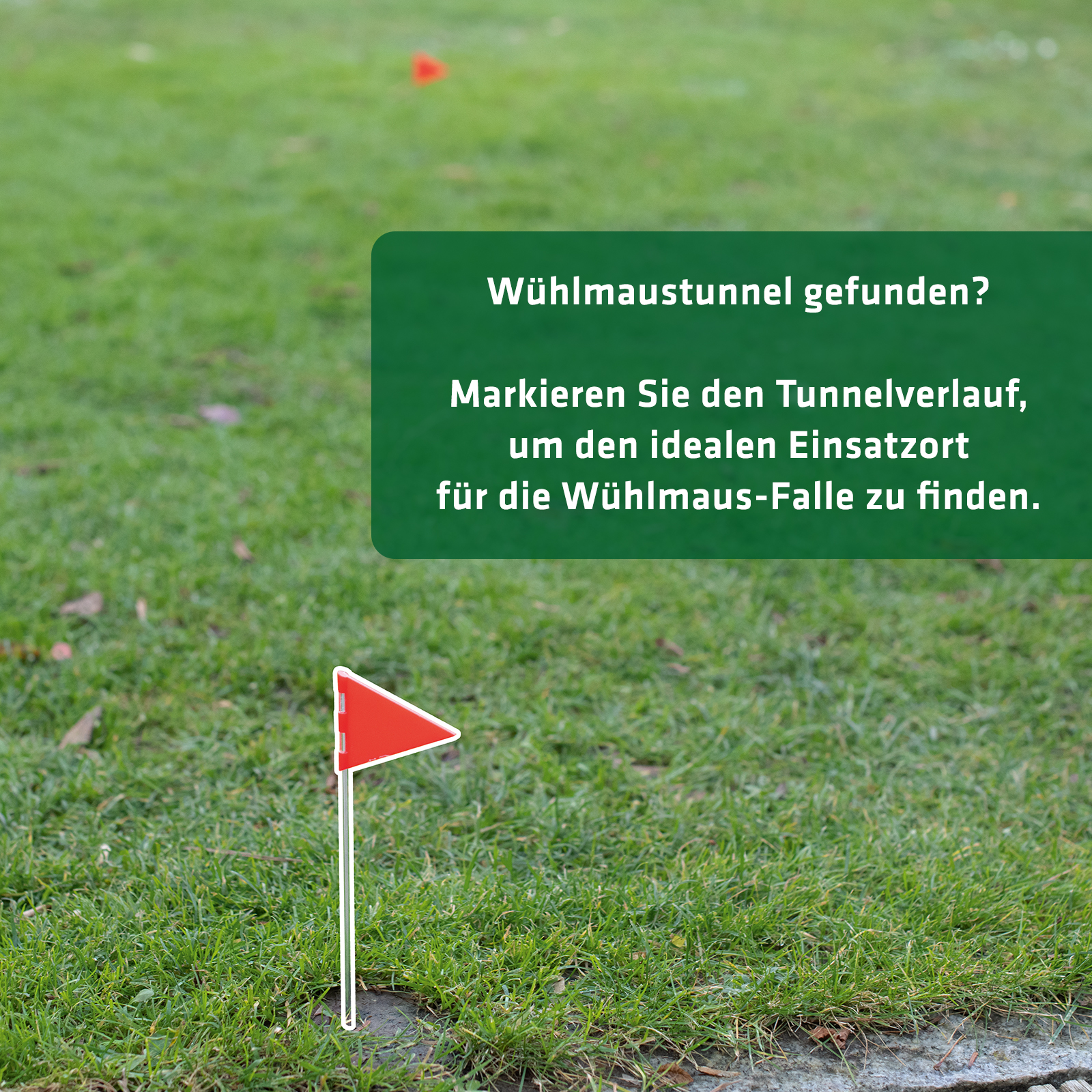 Das Zubehör-Set hilft Ihnen dabei die Gänge der Wühlmaus ausfindig zu machen und das Problem direkt anzugehen.