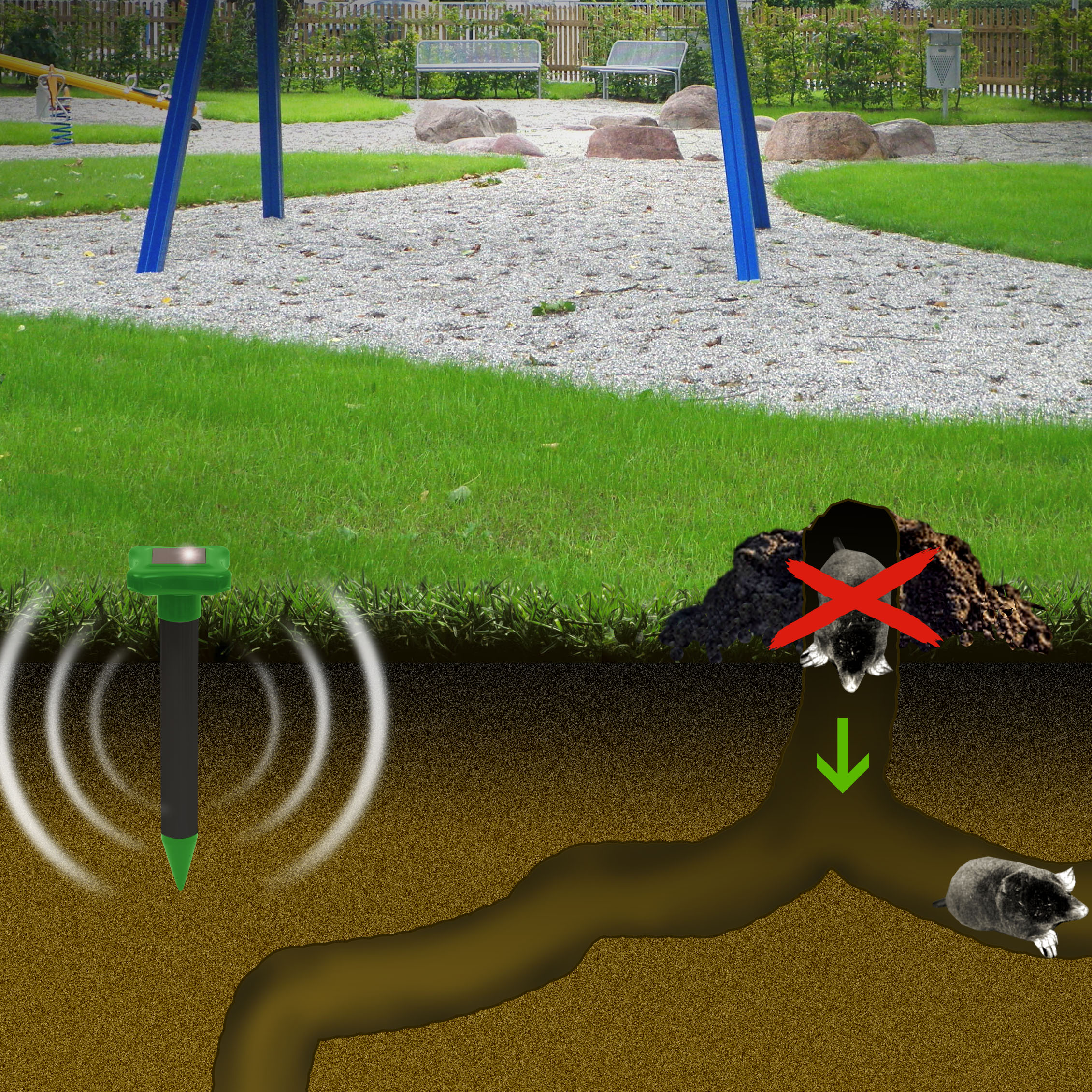 Die Maulwürfe nehmen das Geräusch auf Dauer als unangenehm wahr & suchen sich einen angenehmeren Ort.