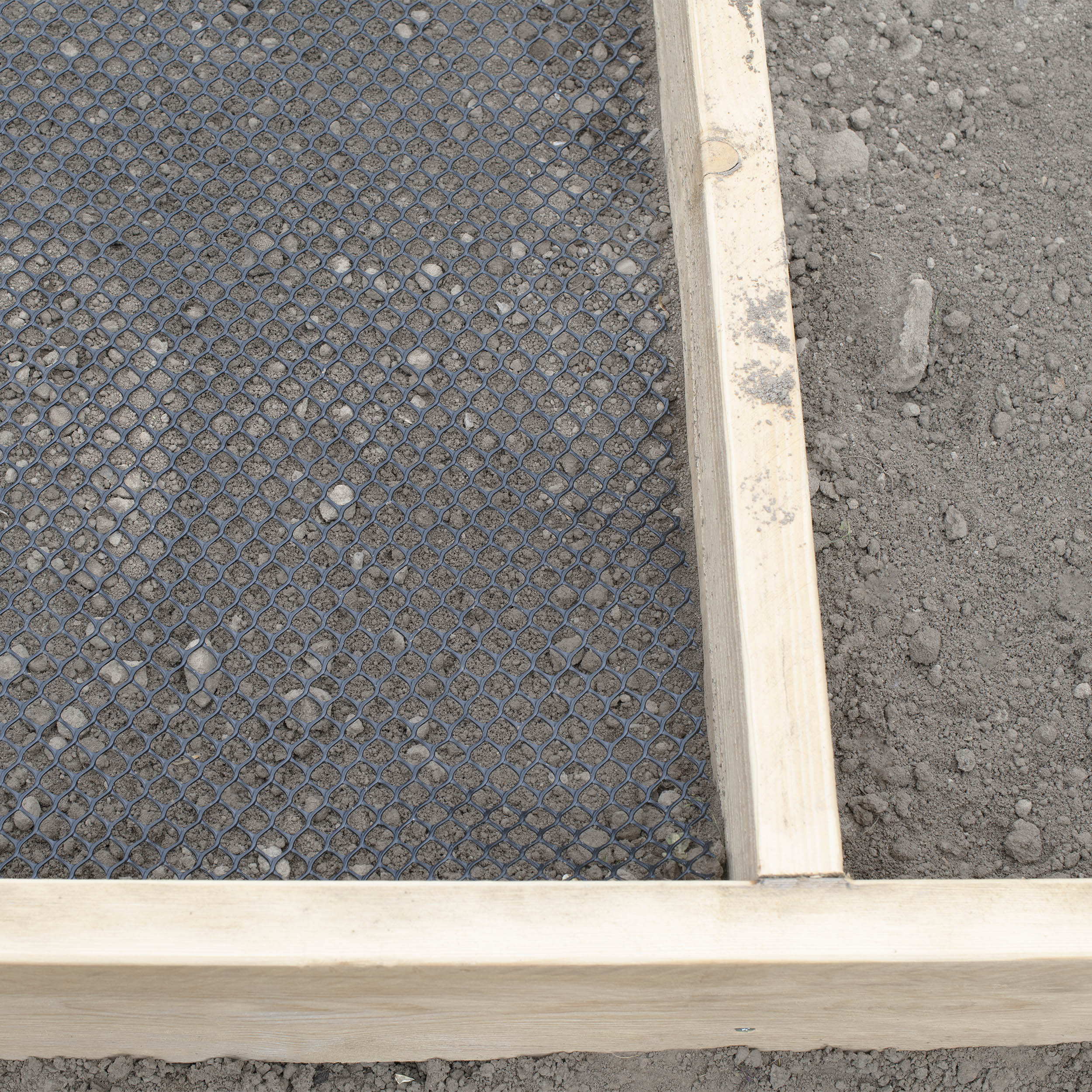 Schutgitter gegen Wühlmäuse, damit die Tiere nicht an die Wurzeln Ihrer Plfanzen gelangen.