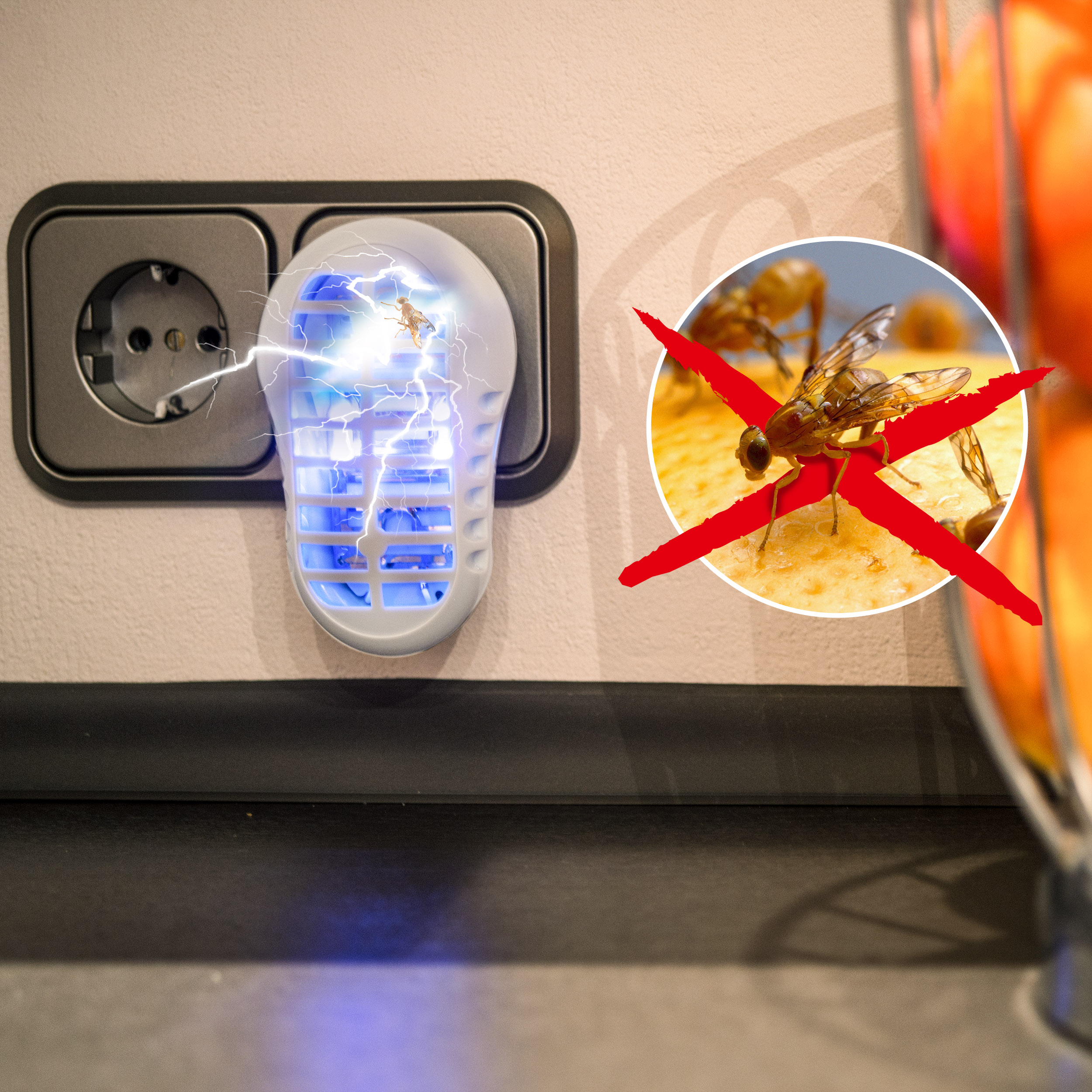 Genießen Sie ihr Obst wieder fliegenfrei & das ohne den Einsatz von Gift.