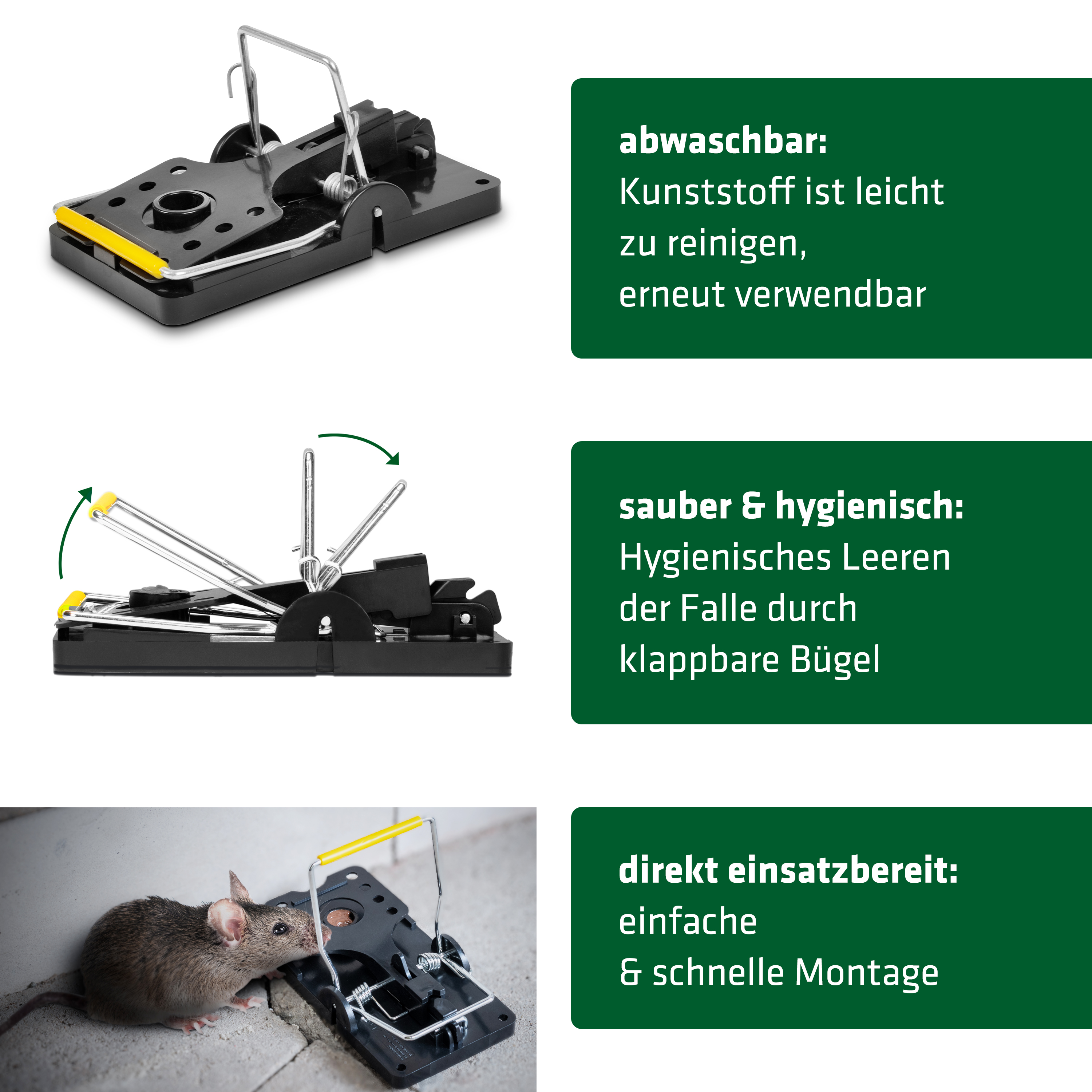 Piège à rat lot de 5