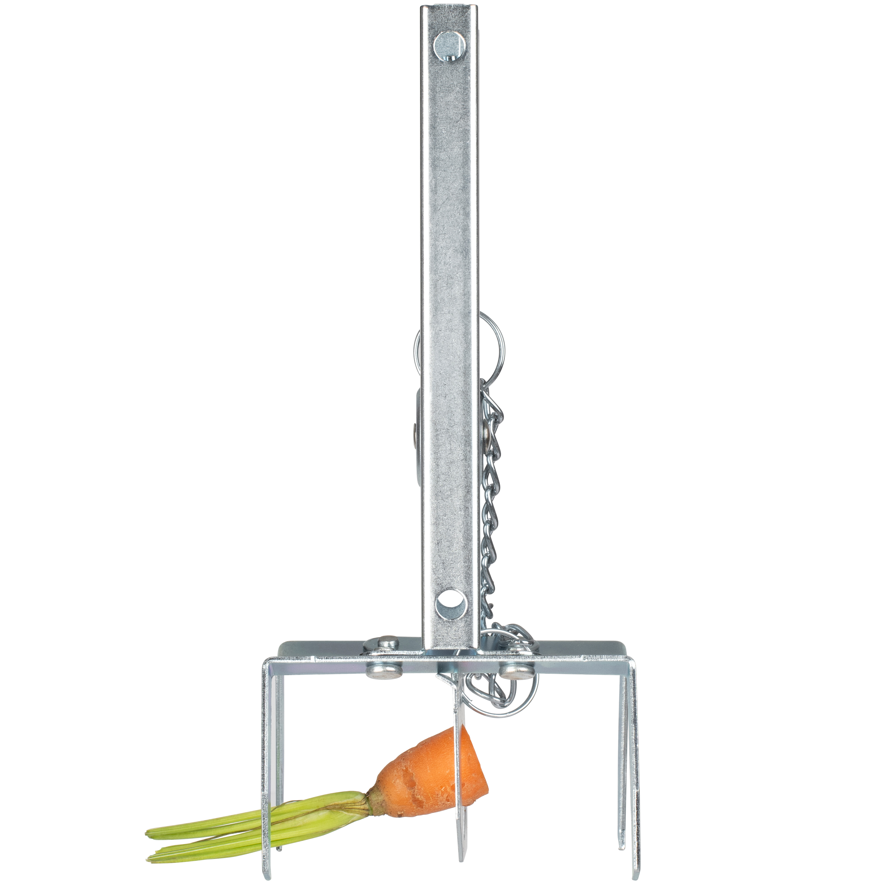 Der Köder wird auf das Spannplättchen gesteckt und dann zwischen die beiden Scheren gesteckt.