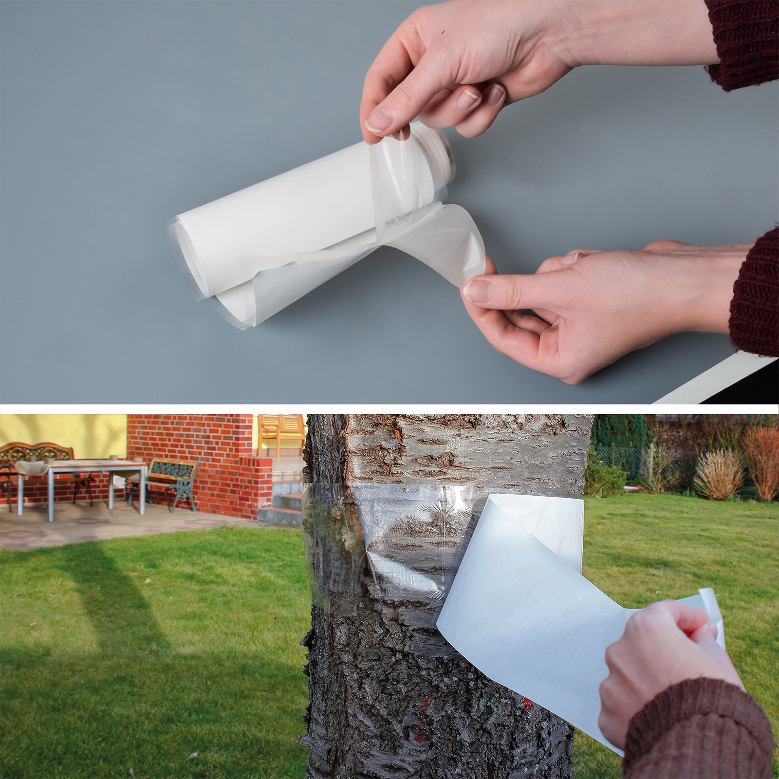 Achten Sie beim Anbringen darauf, dass der Leimring keine Öffnungen für Insekten zum Durchkrabbeln bietet.