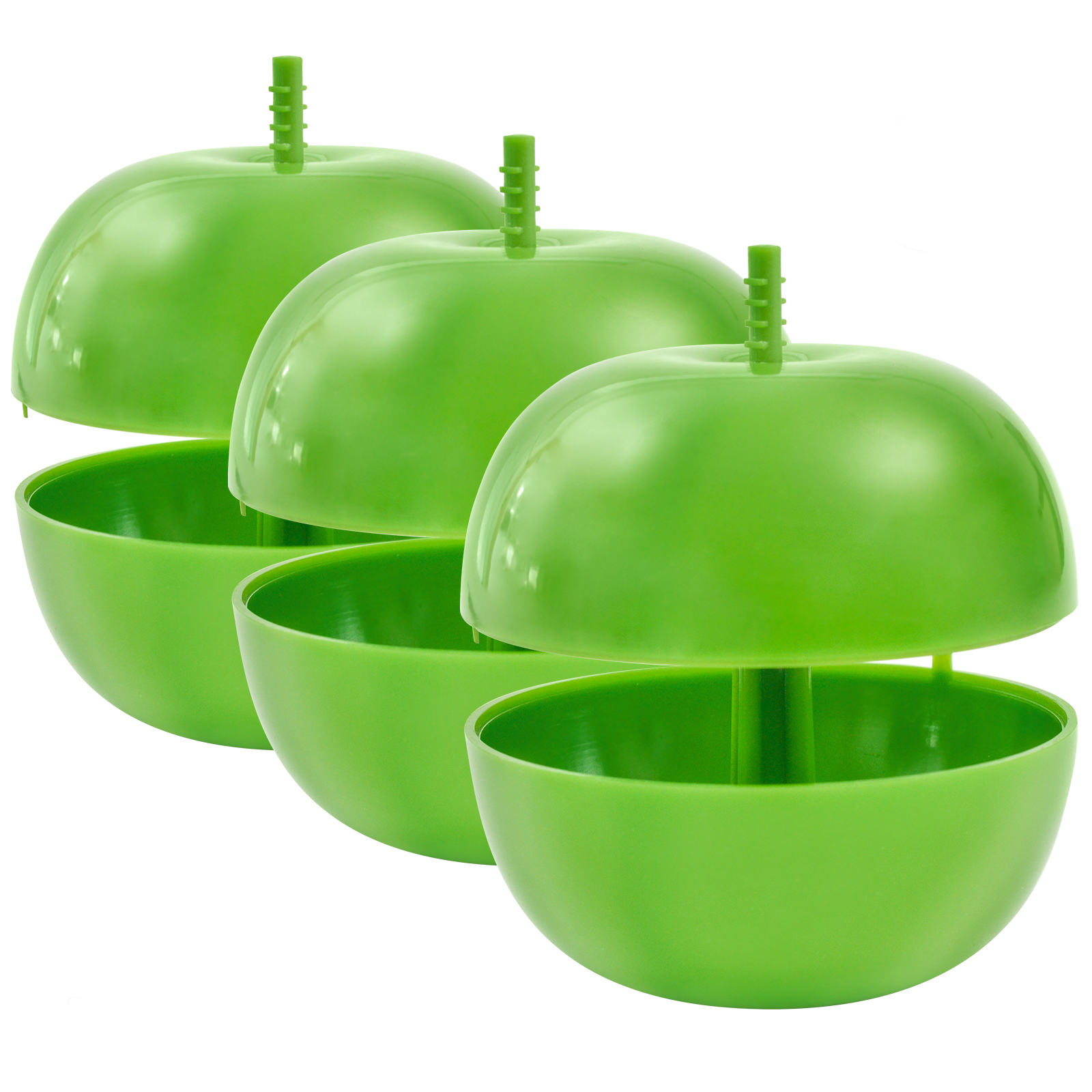 Piège à Mouches des Fruits