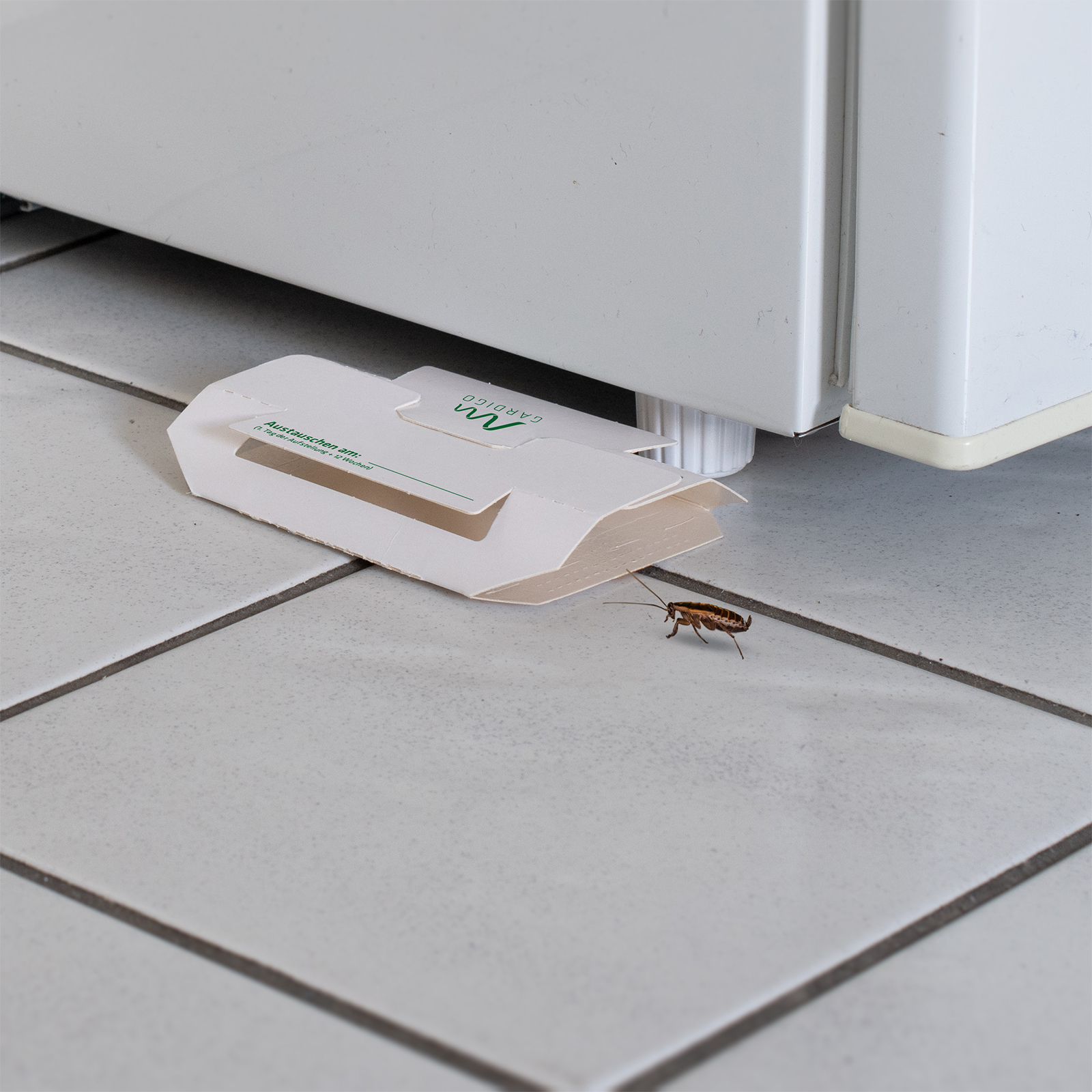 Da die Insekten nachtaktiv sind ist es schwierig den Befall zu erkennen und meist ist es dann schon zu spät.