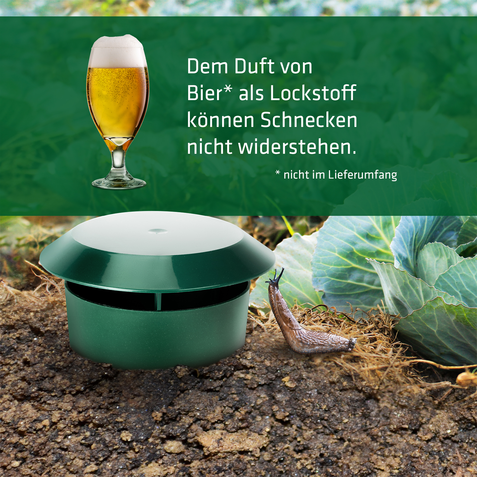 Bierfallen sind ein klassisches Hausmittel gegen Schnecken