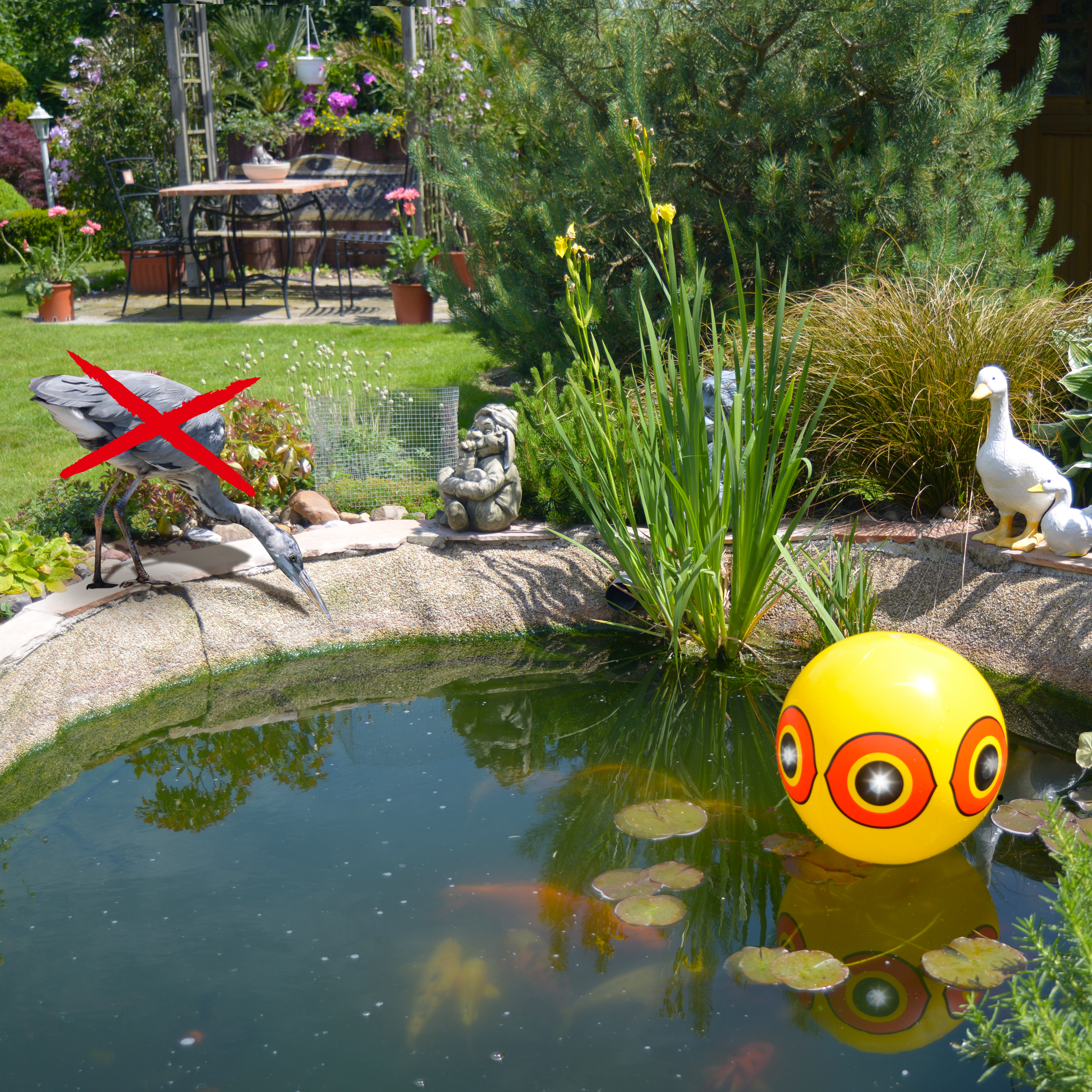 Sie können auch ihren Teich vor Fischreihern sichern indem Sie den Ballon auf dem Wasser treiben lassen.