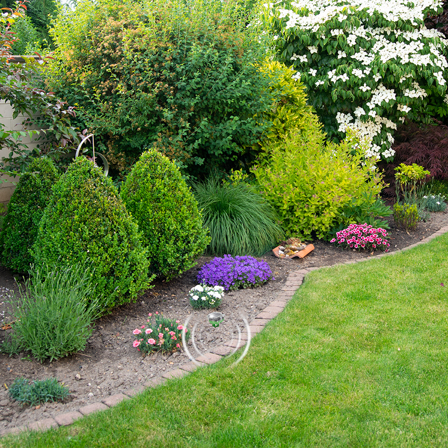 Die Tiere werden durch den Schall nicht gefährdet aber sie werden sich einen leiseren, angenehmeren Ort suchen.