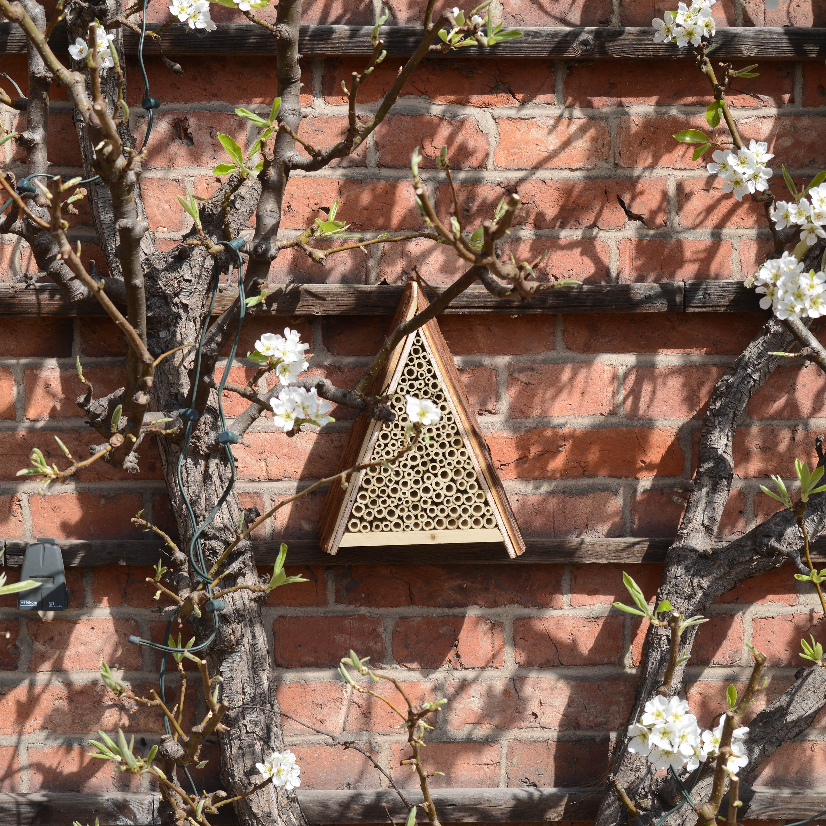 An einem sonnigen, geschützen Ort fühlen sich die Wildbienen besonders wohl.