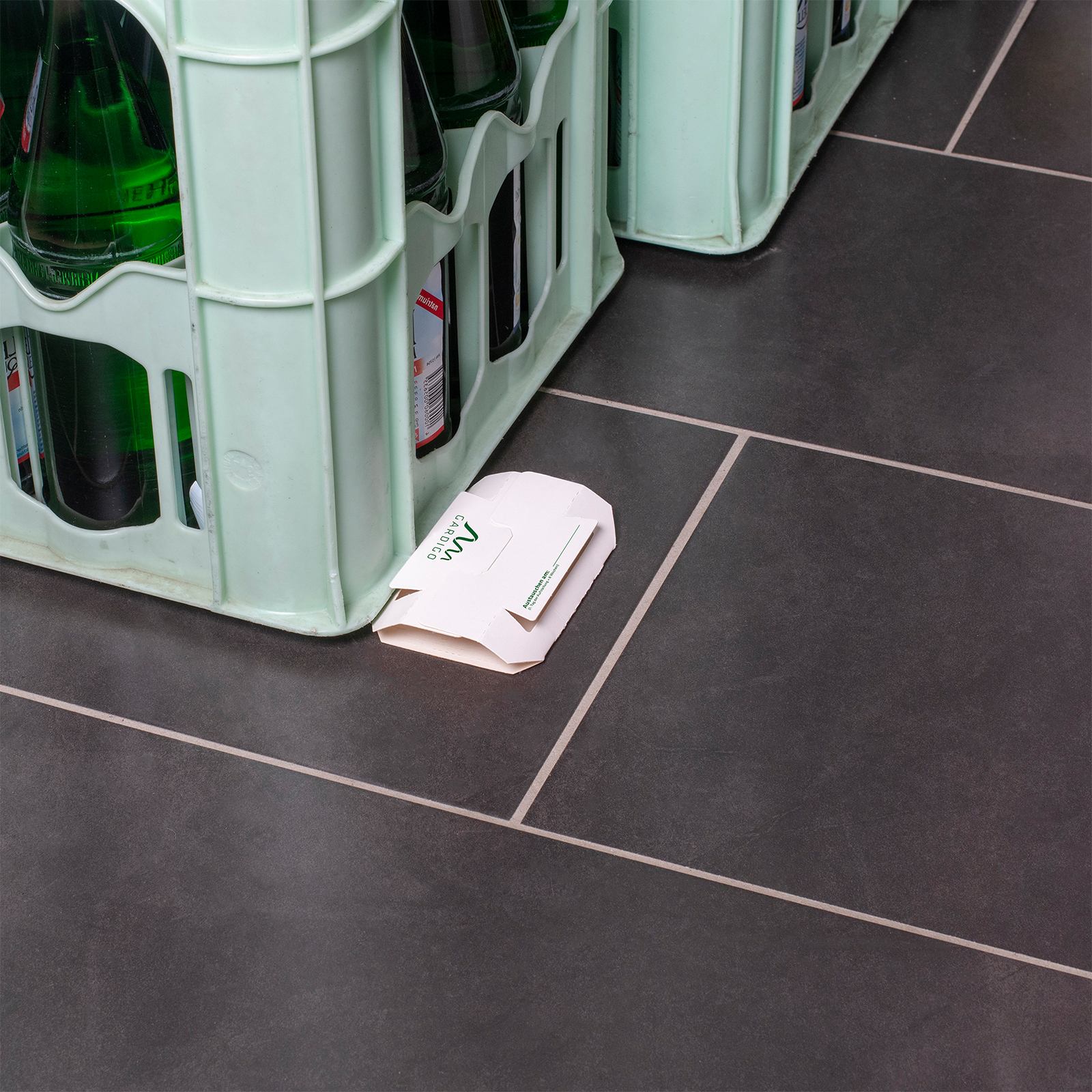 Schaben und Kakerlaken sind Allesfresser aber besonders gern befallen sie Küchen und Vorratsräume.