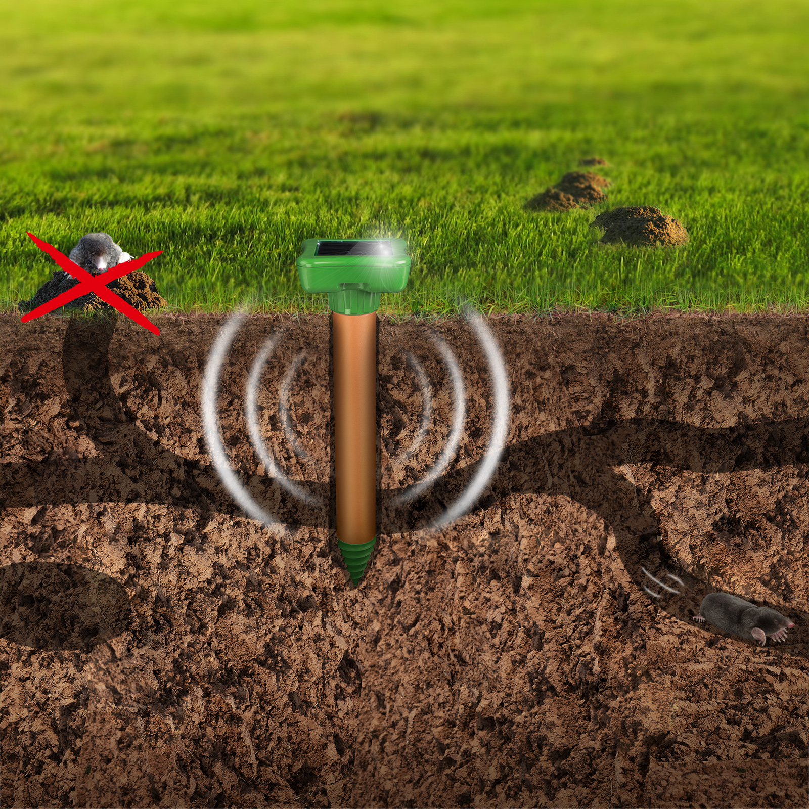 Der Schall und die Vibrationen gefährden die Tiere nicht aber andere Orte werden ihnen angenehmer erscheinen.