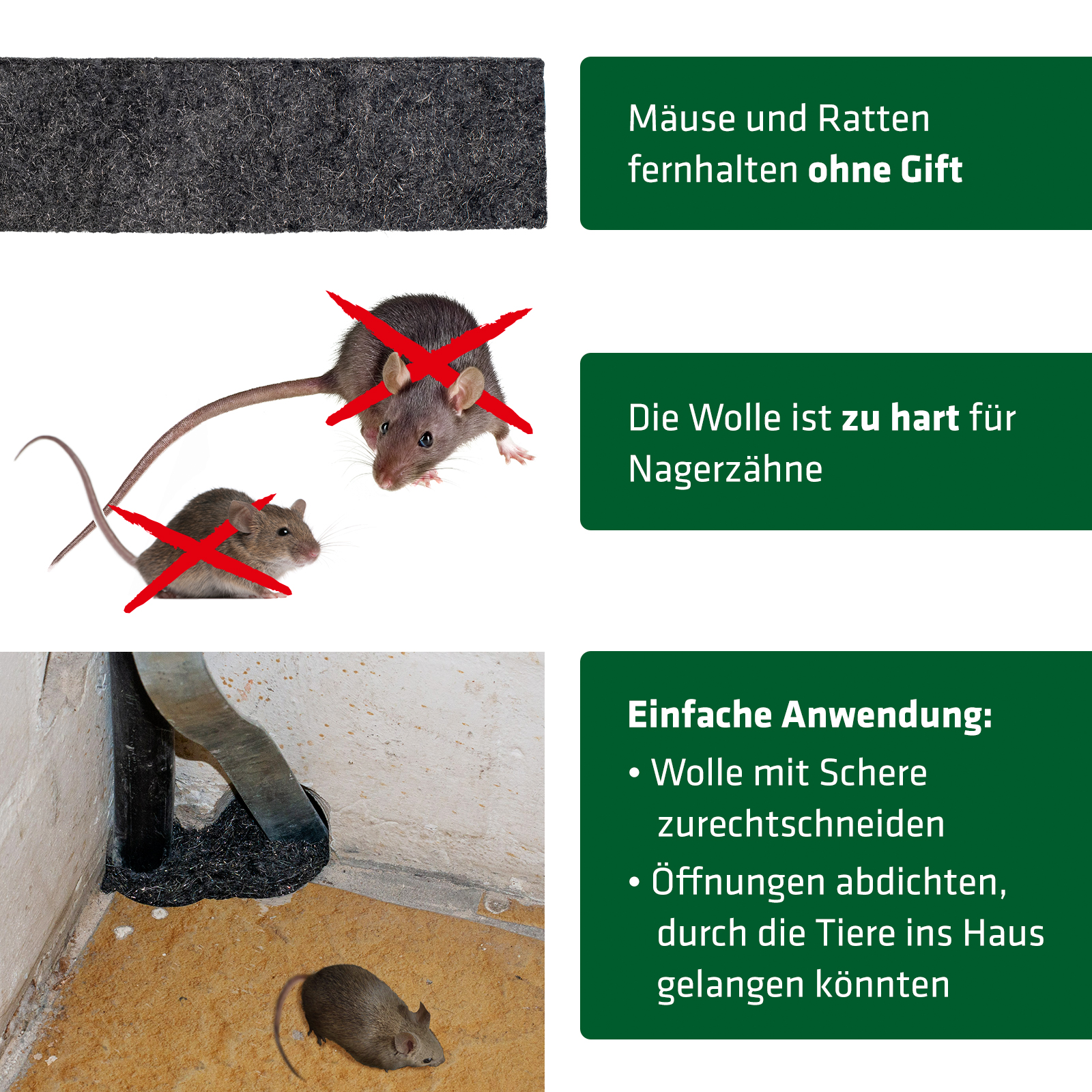 Mit der Stahlwolle werden Löcher und Spalten dicht gemacht, um Mäusen und Ratten den Weg zu versperren.