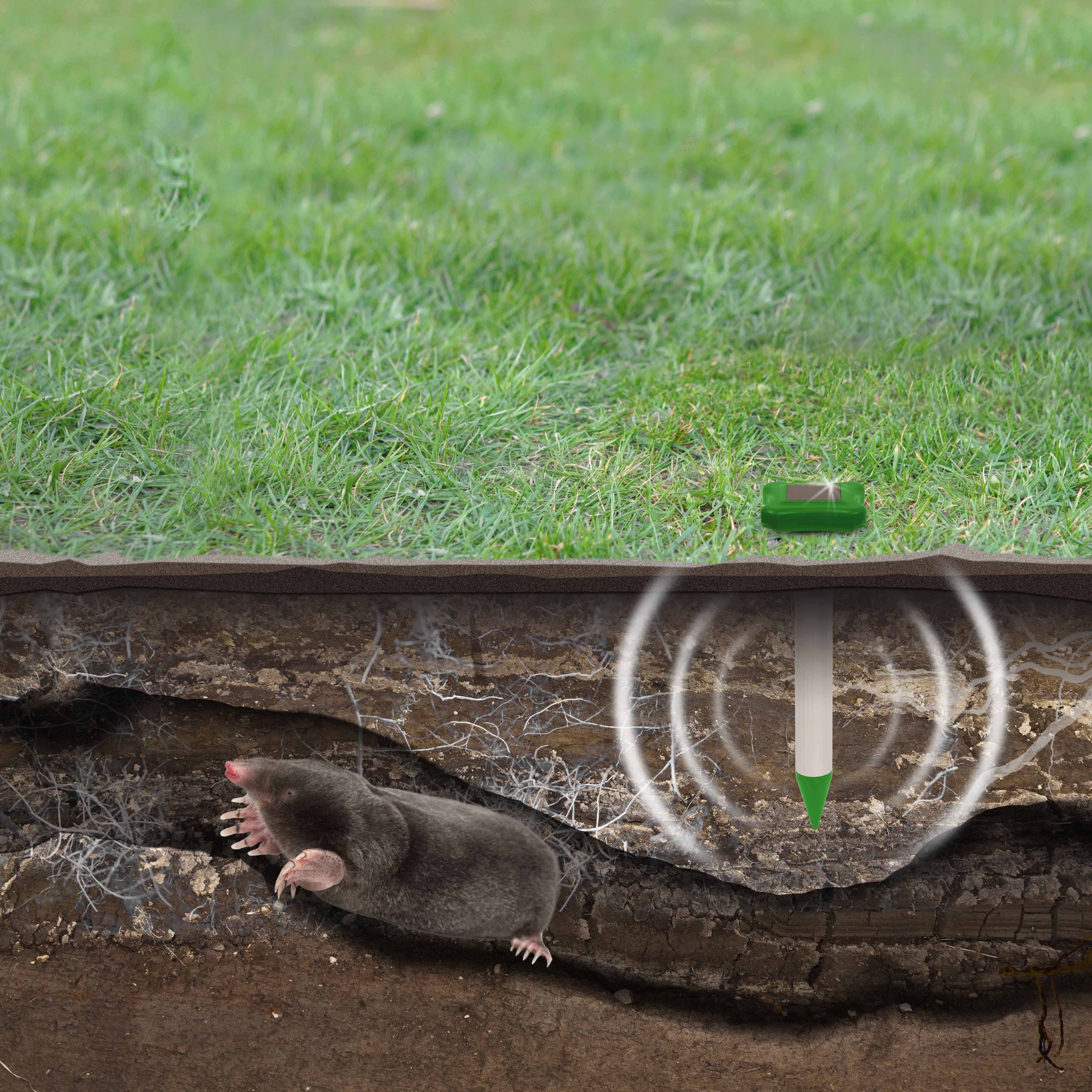 Damit sich der Schall unterirdisch optimal ausbreiten kann sollten sie das Gerät so weit wie möglich in der Erde versenken.