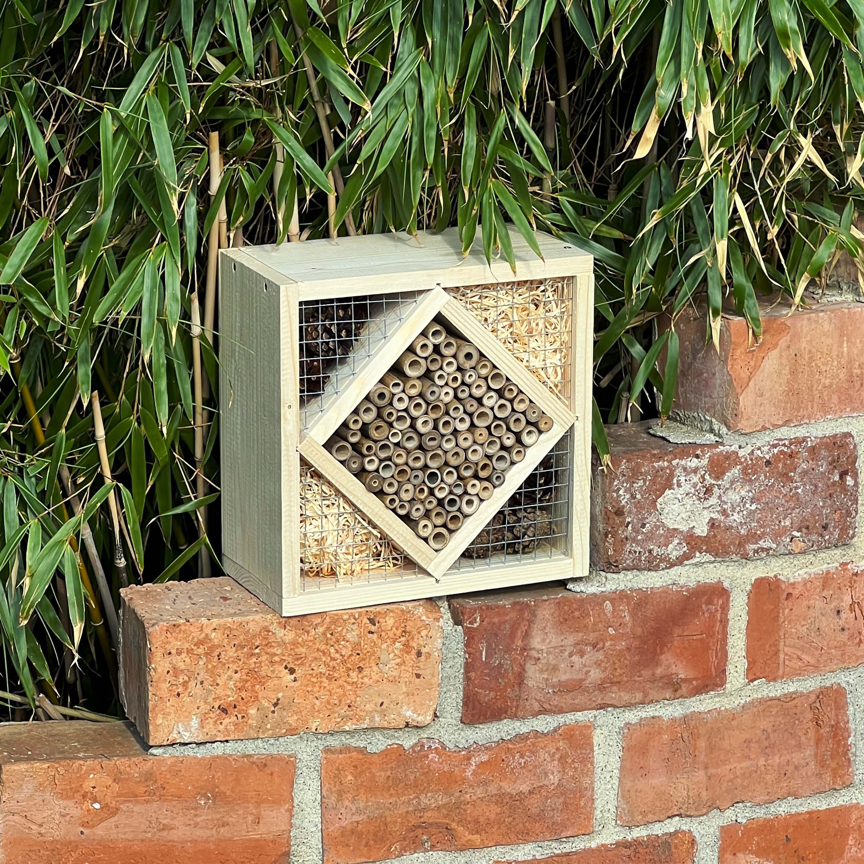 Wenn Sie in der Nähe auch etwas Wasser in der Nähe platzieren sind die Insekten rundum versorgt.