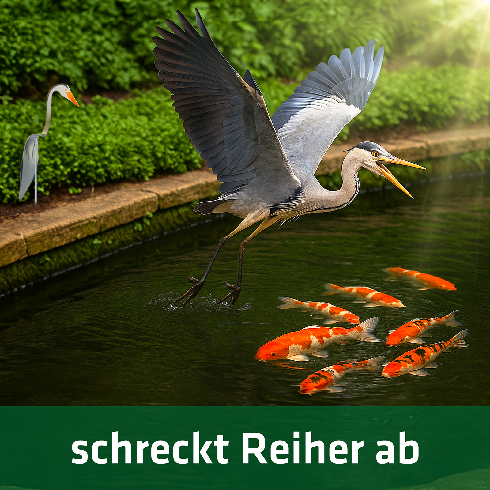 …schreckt Reiher ab