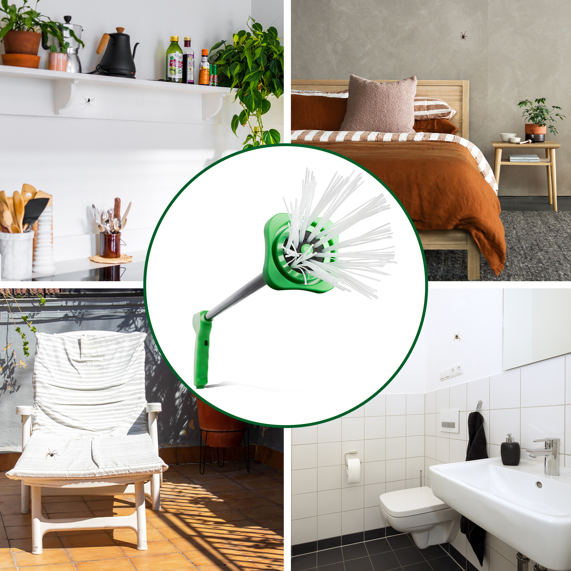 Spinnen? Igitt! Greifen Sie die Spinne aus sicherer Entfernung & hinaus mit dem Tier.