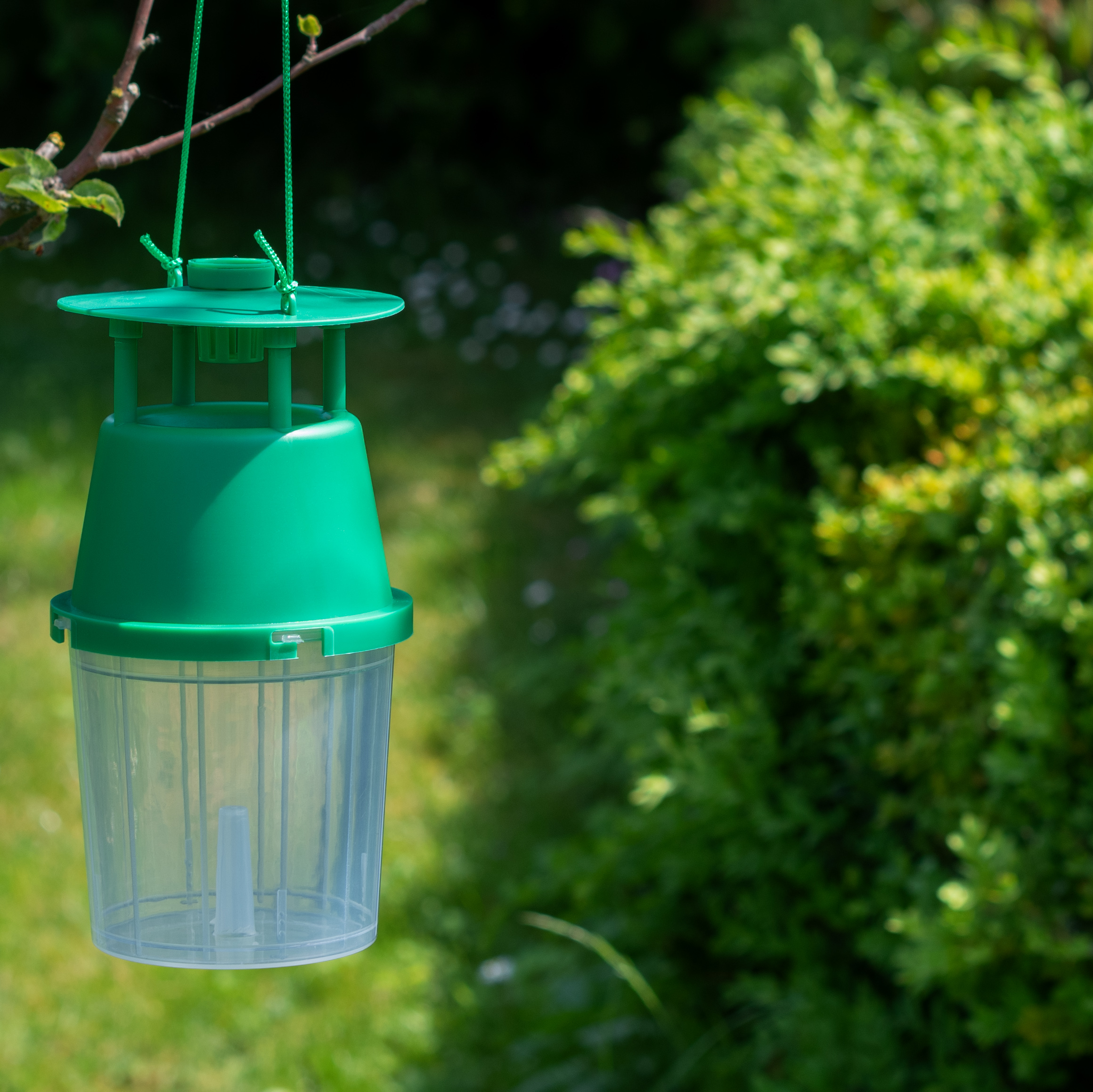 Die Buchsbaumzünslerfalle ist eine Monitoring-Falle, zur Überwachung und Kontrolle des Befalls der Buchsbäume in Ihrem Garten.