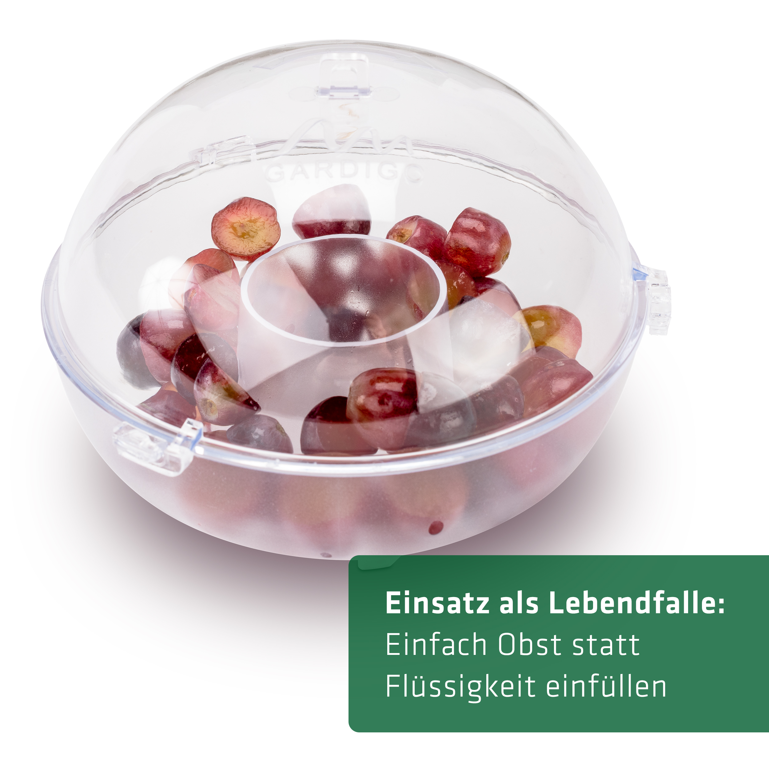 Piège à guêpes | lot de 2