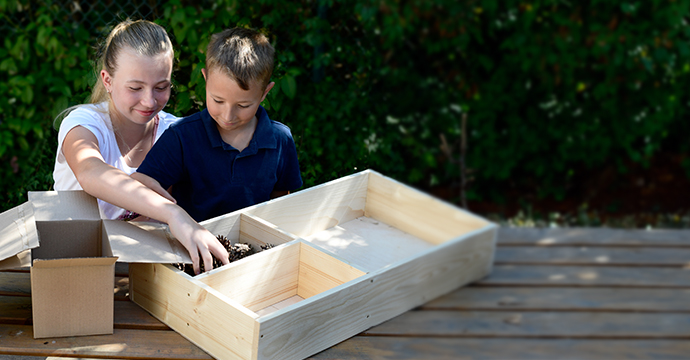 hotel a insectes bricolage