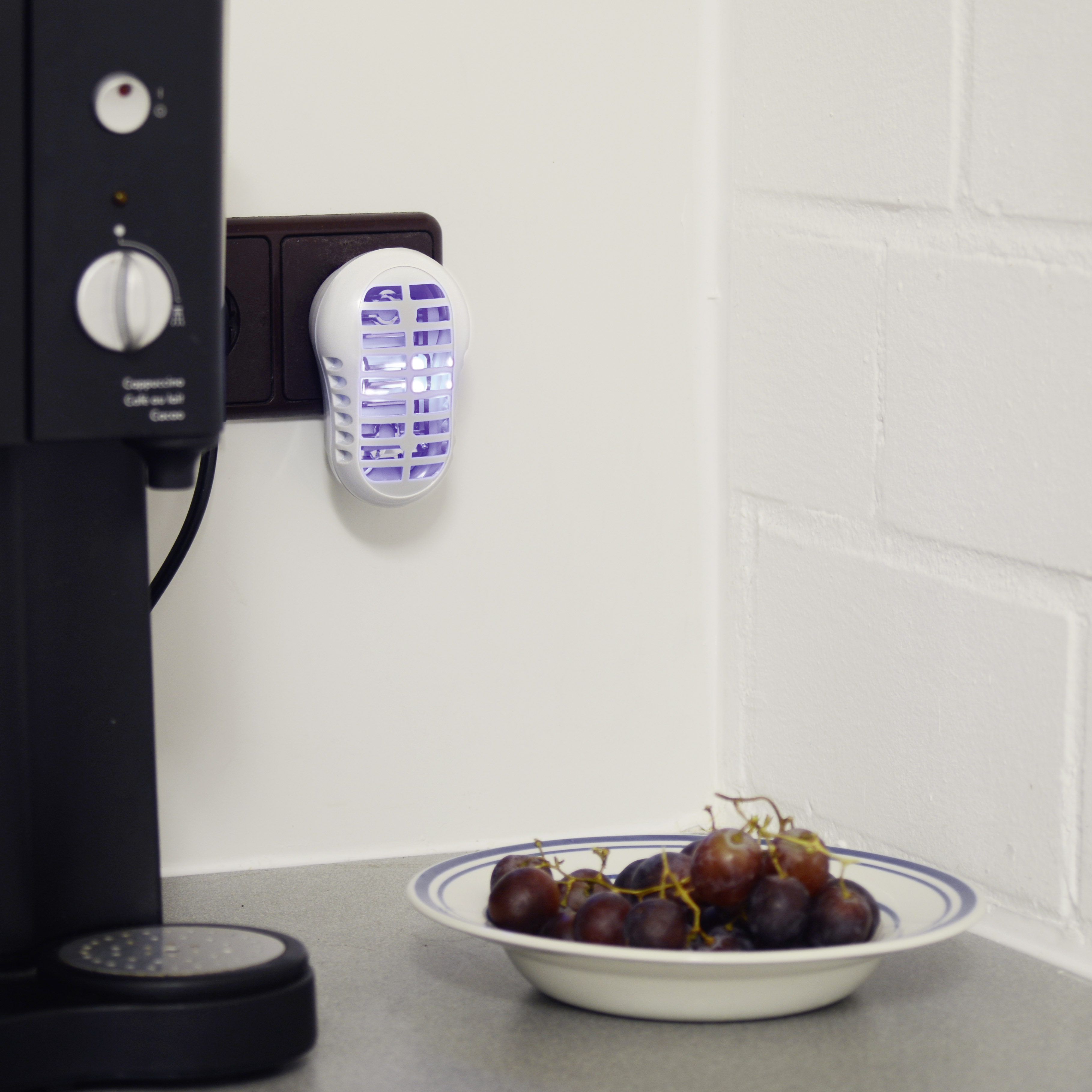 An den warmen Sommertagen schmeckt frisches Obst besonders gut & das geht den Obstfliegen genau so wie uns.