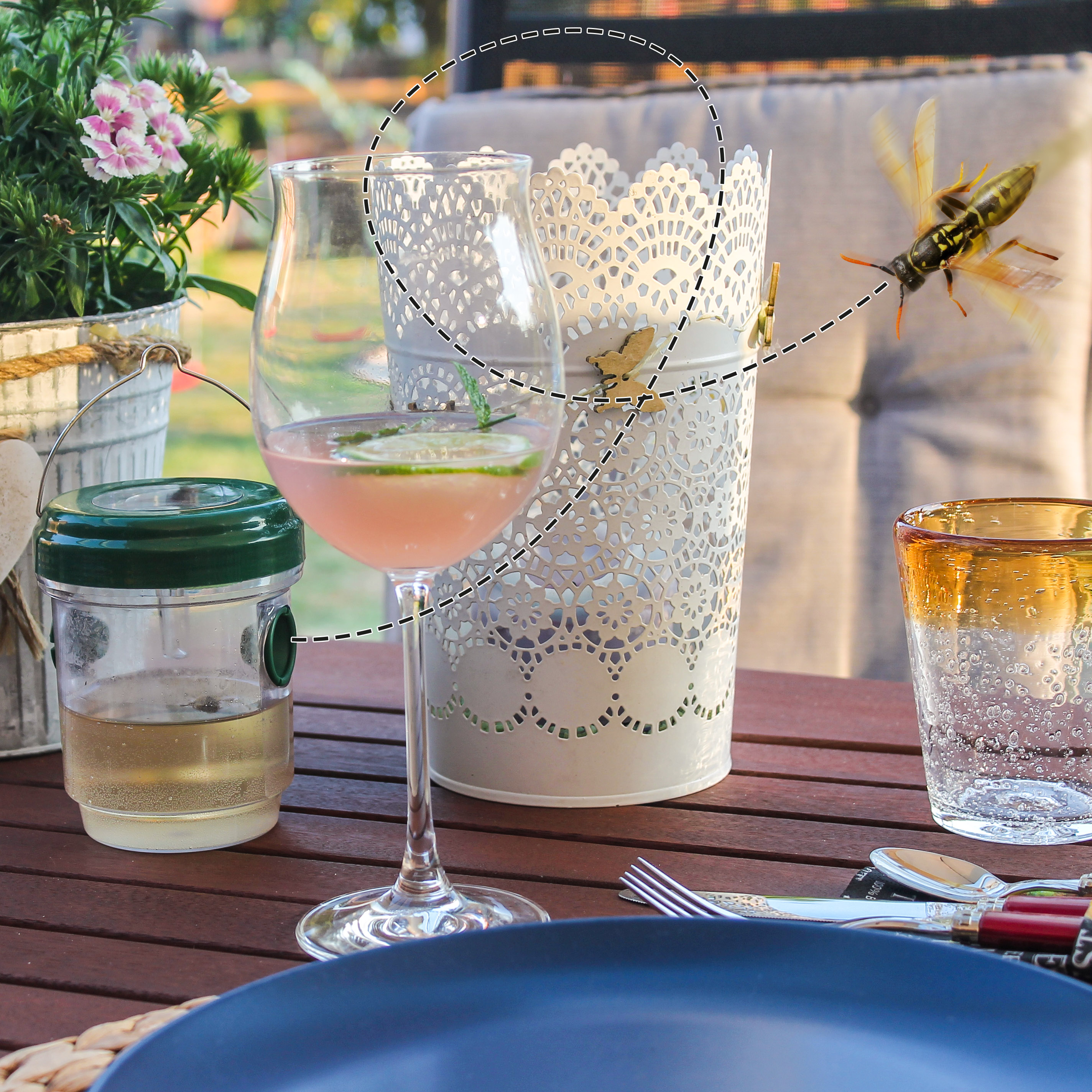 Um die lästigen Wespen von unseren Speisen fernzuhalten können Sie eine unserer Fallen mit einem Lockstoff etwas entfernt aushängen.