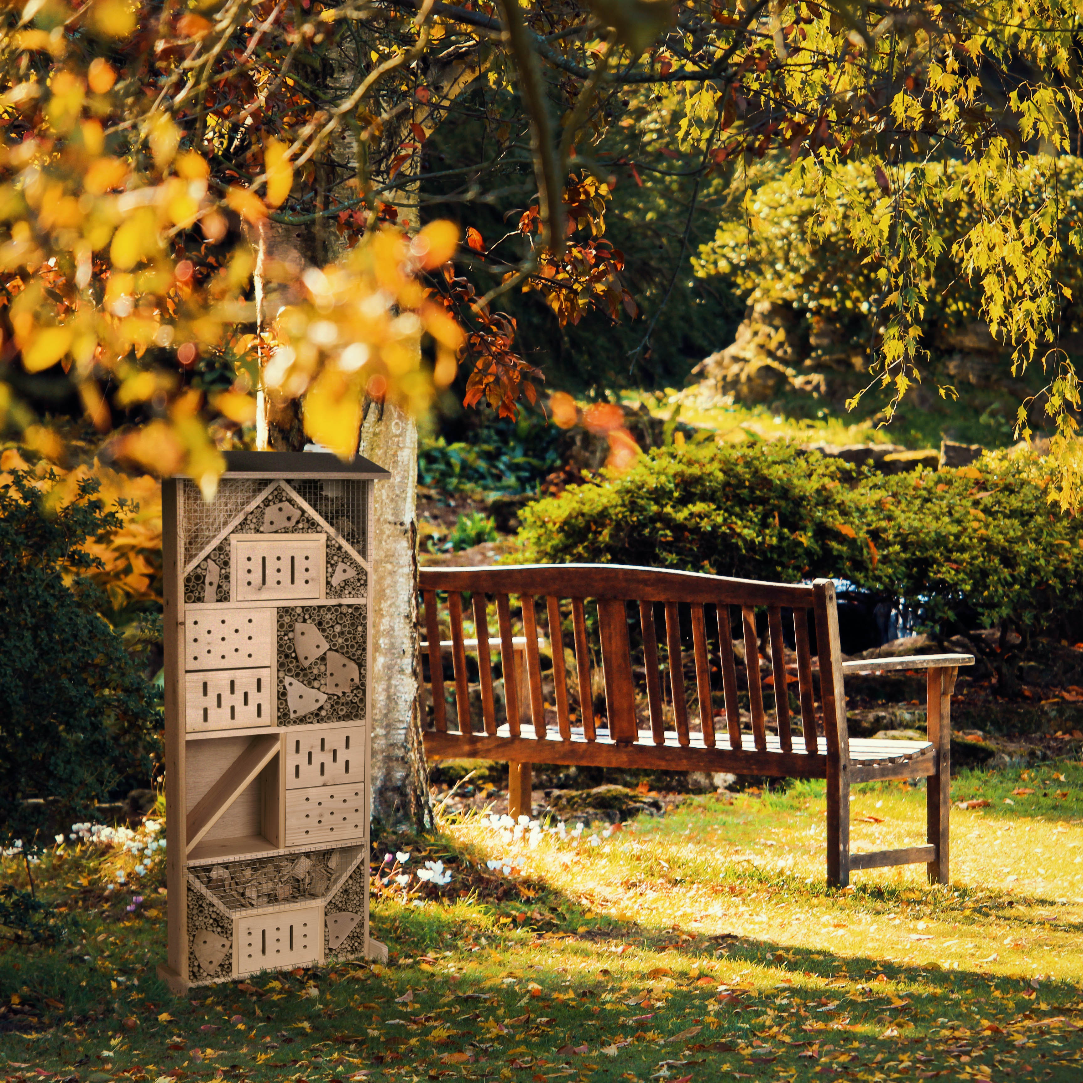 Die Größe und das natürliche Holz machen es zu einem echten Hingucker.