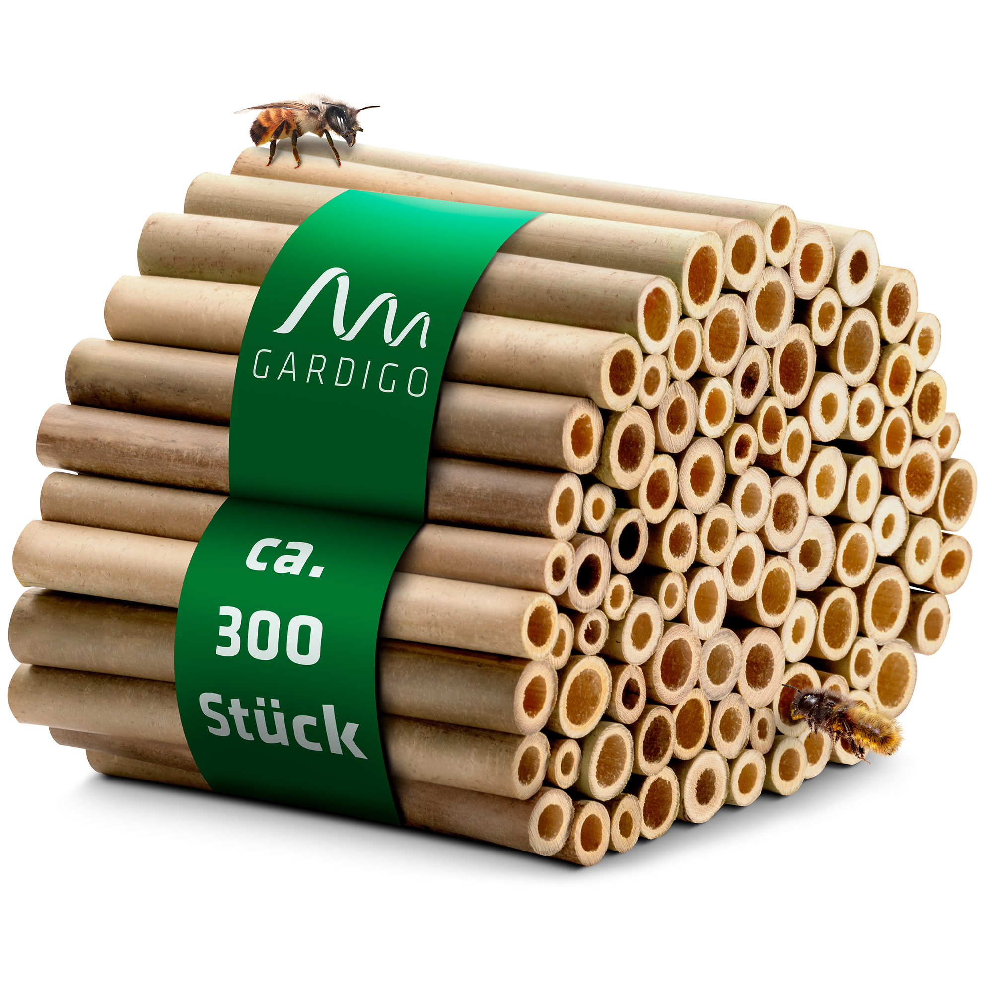 Bambous pour hôtel à insectes