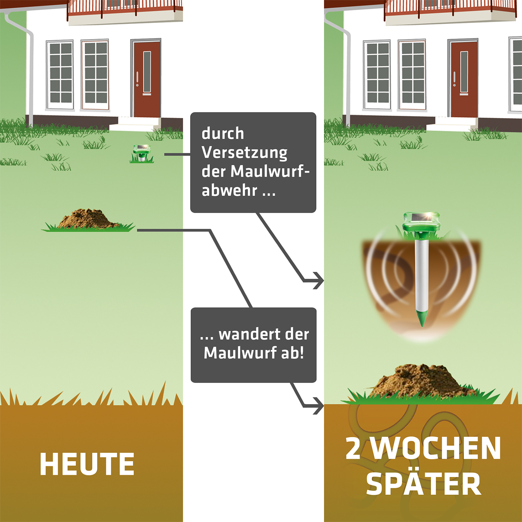 Maulwurfpiepser richtig angewendet: Treiben Sie die Maulwürfe vom Haus weg in Richtung Grundstücksgrenze.