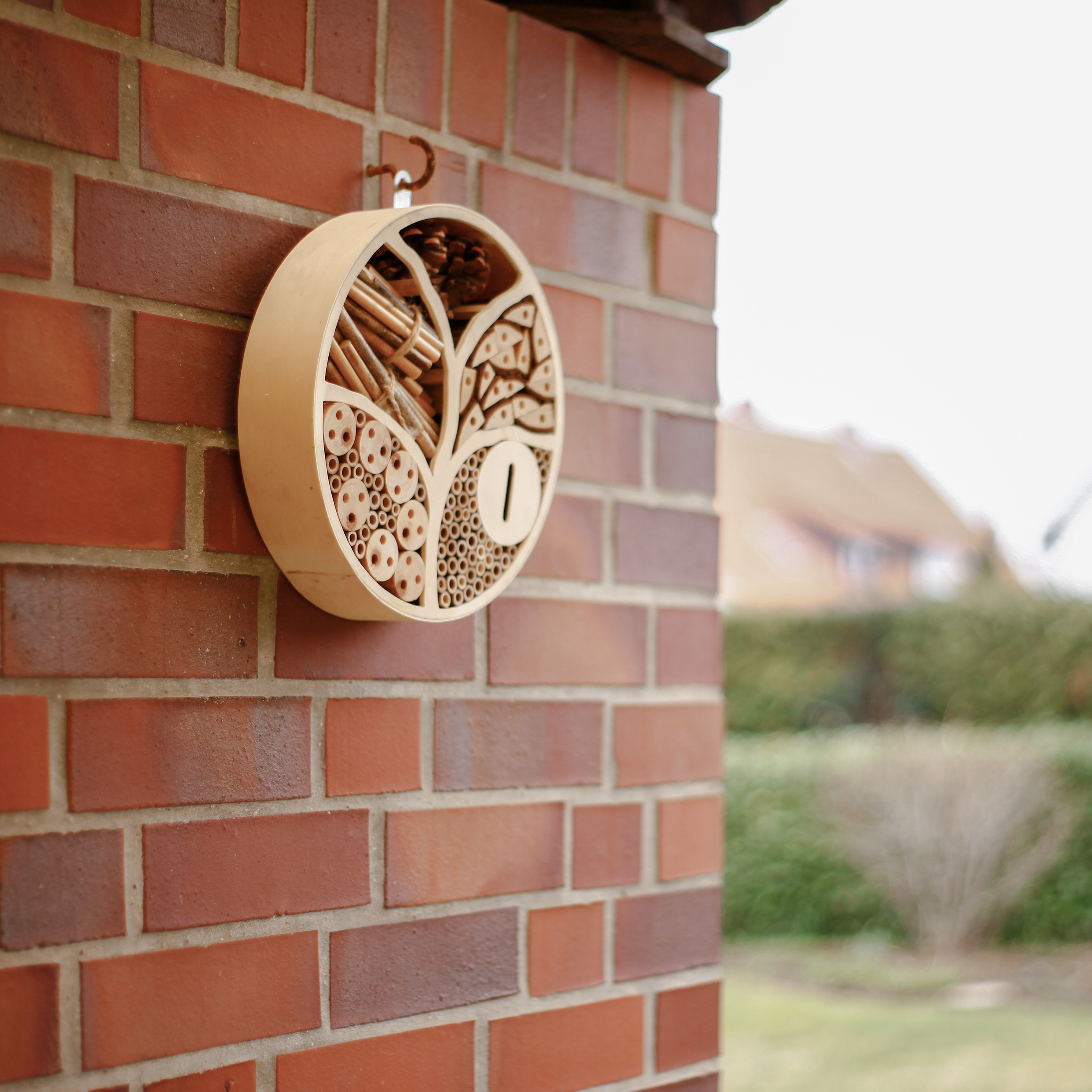Bringen Sie das Hotel an einer vor Regen geschützten Stelle an und beobachten Sie die Insekten.