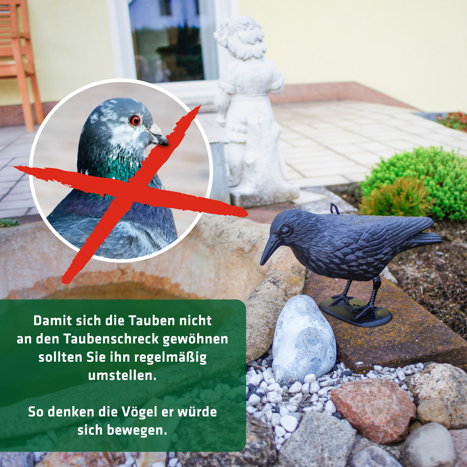 Das Umsetzen verhindert, dass die Tauben sich an die Vogelscheuche gewöhnen.