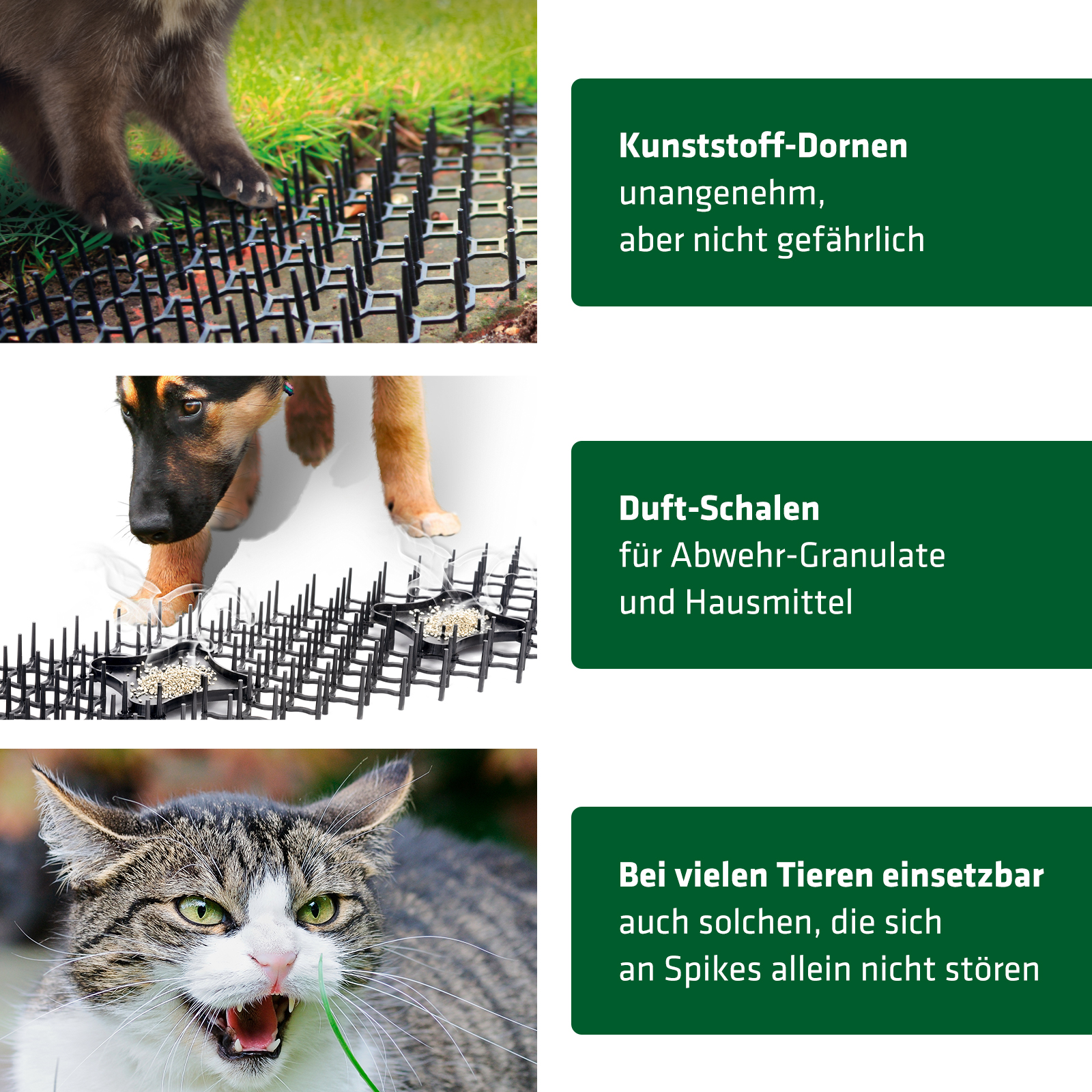Kunststoff-Spikes gegen Hunde, Marder, Katzen, Kaninchen