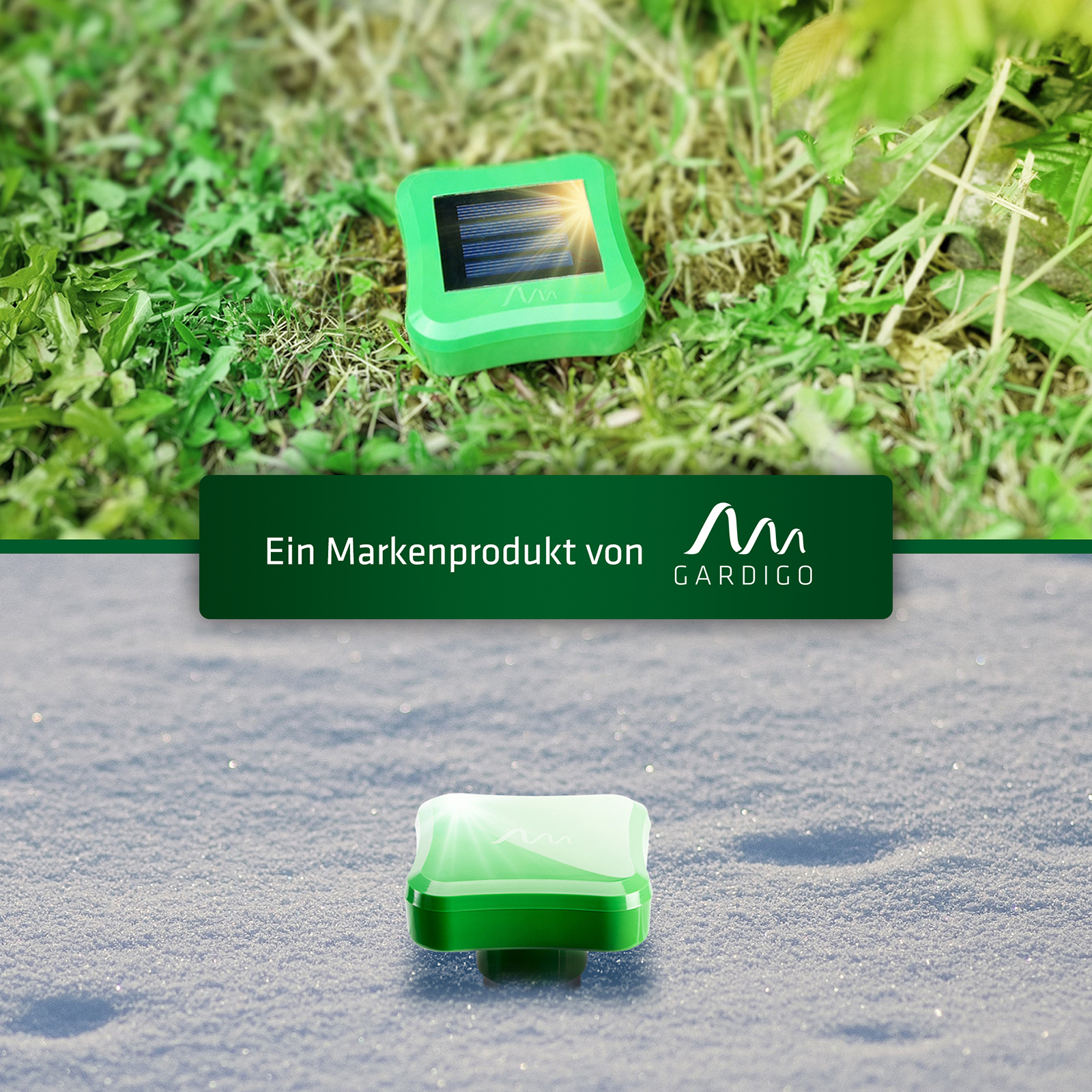 Wühltiervertreibung im Sommer und Winter