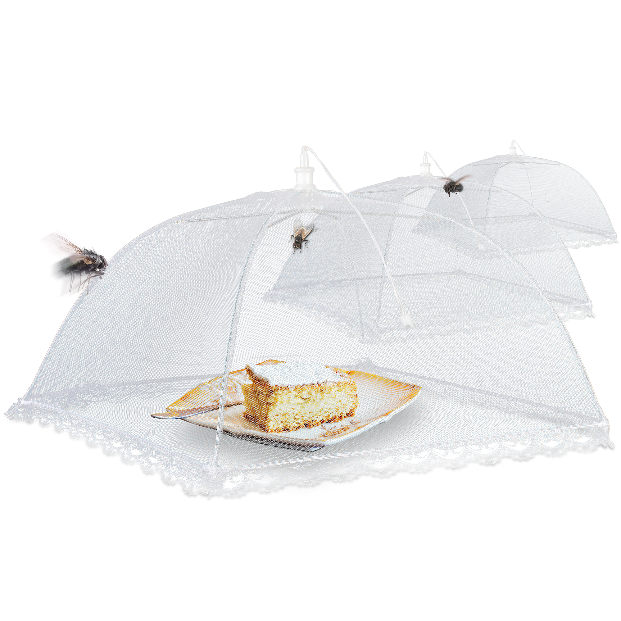 Cloche de Protection Alimentaire