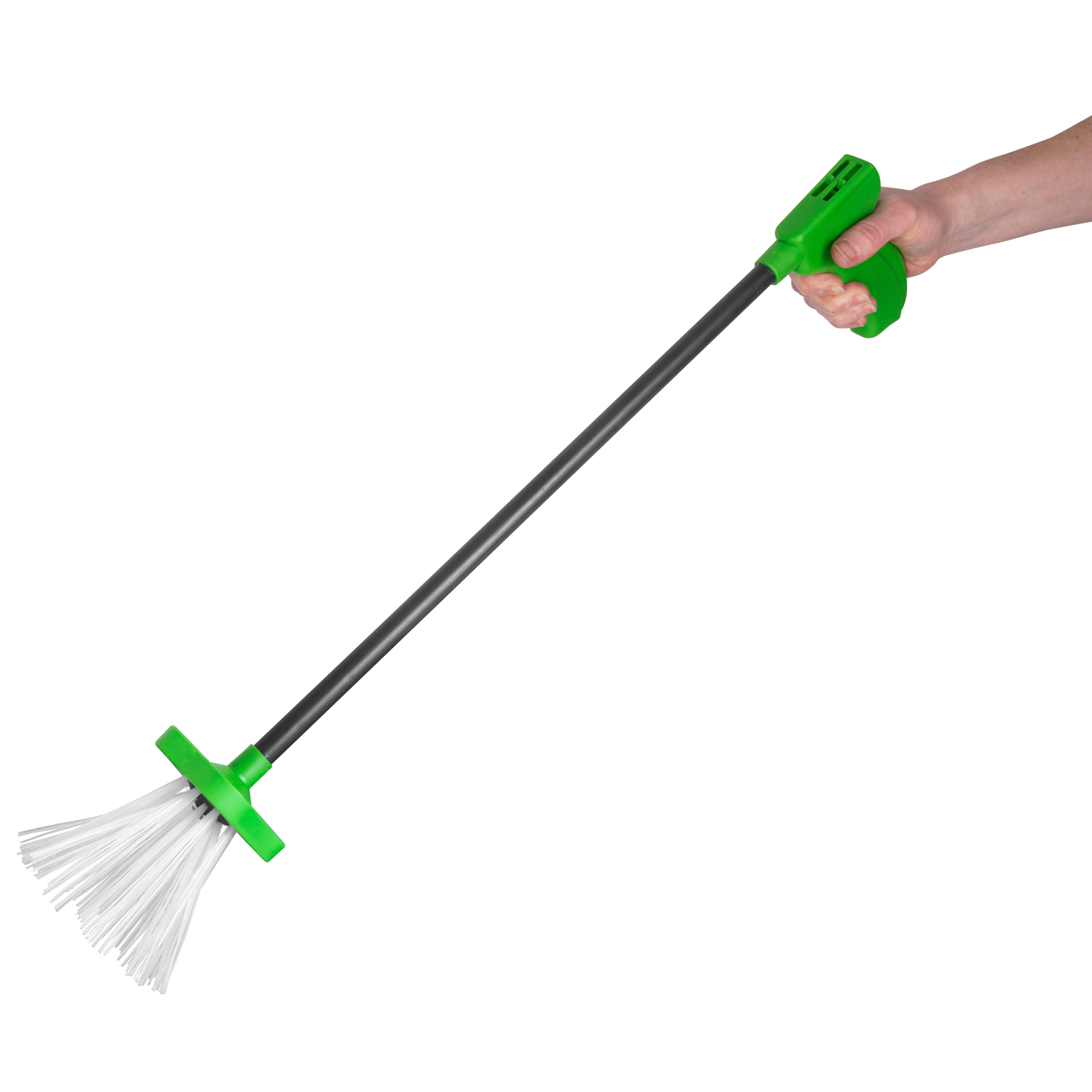 Die Borsten am Kopf greifen die Spinne aber verletzen sie nicht, sodass sie einfach aus der Wohnung gebracht werden kann.