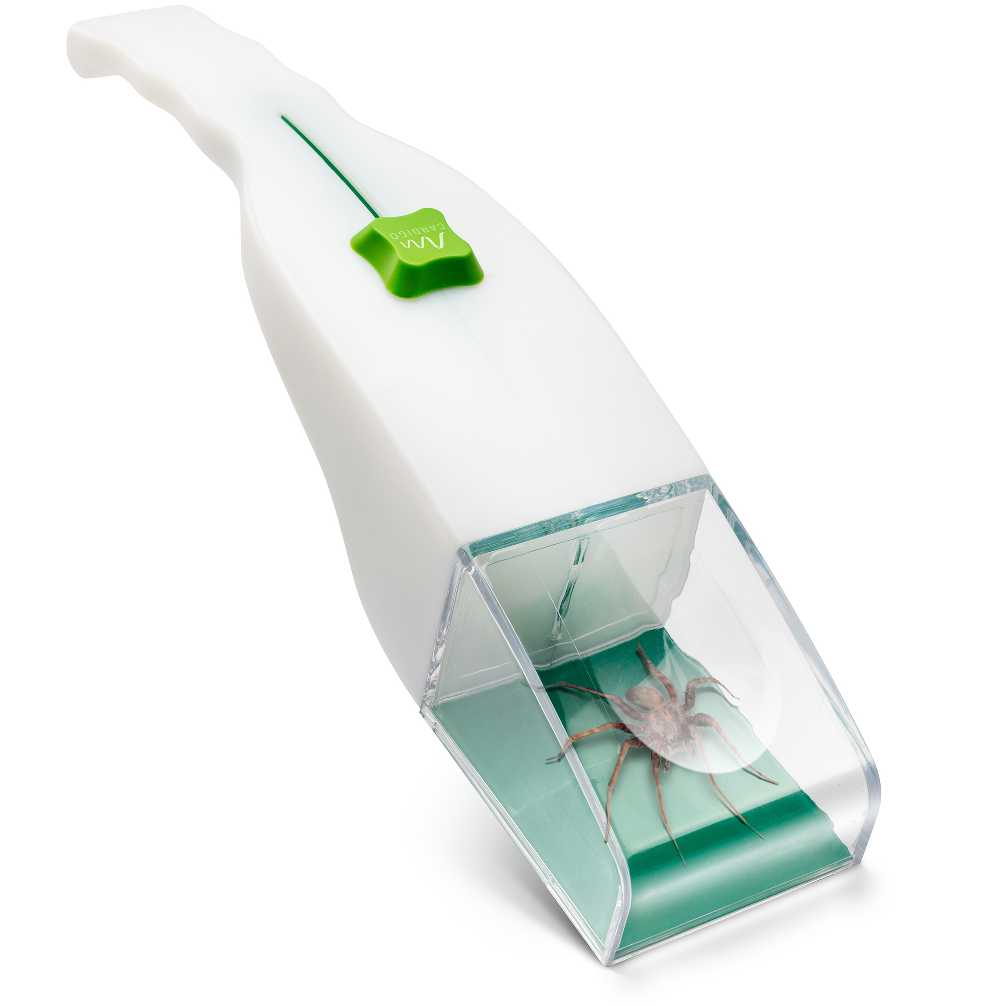 Attrape-Insectes Capture Vivante | Avec Loupe Intégrée | Pour Araignées, Insectes & Éducation Enfants