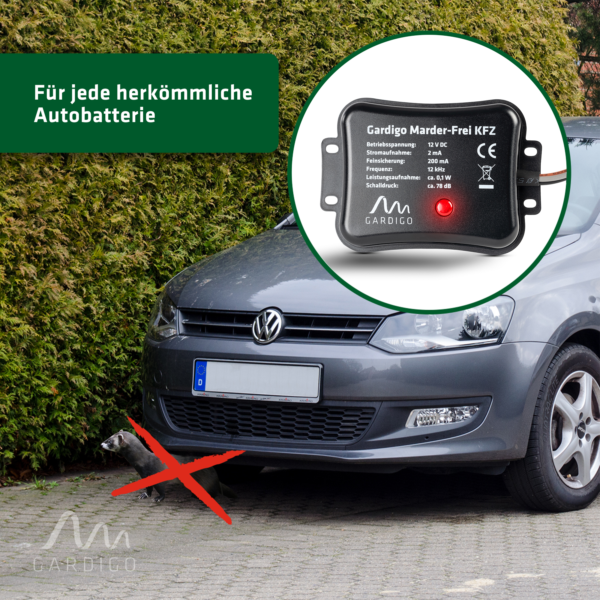 Marderschutz für Ihr Auto – von GARDIGO!