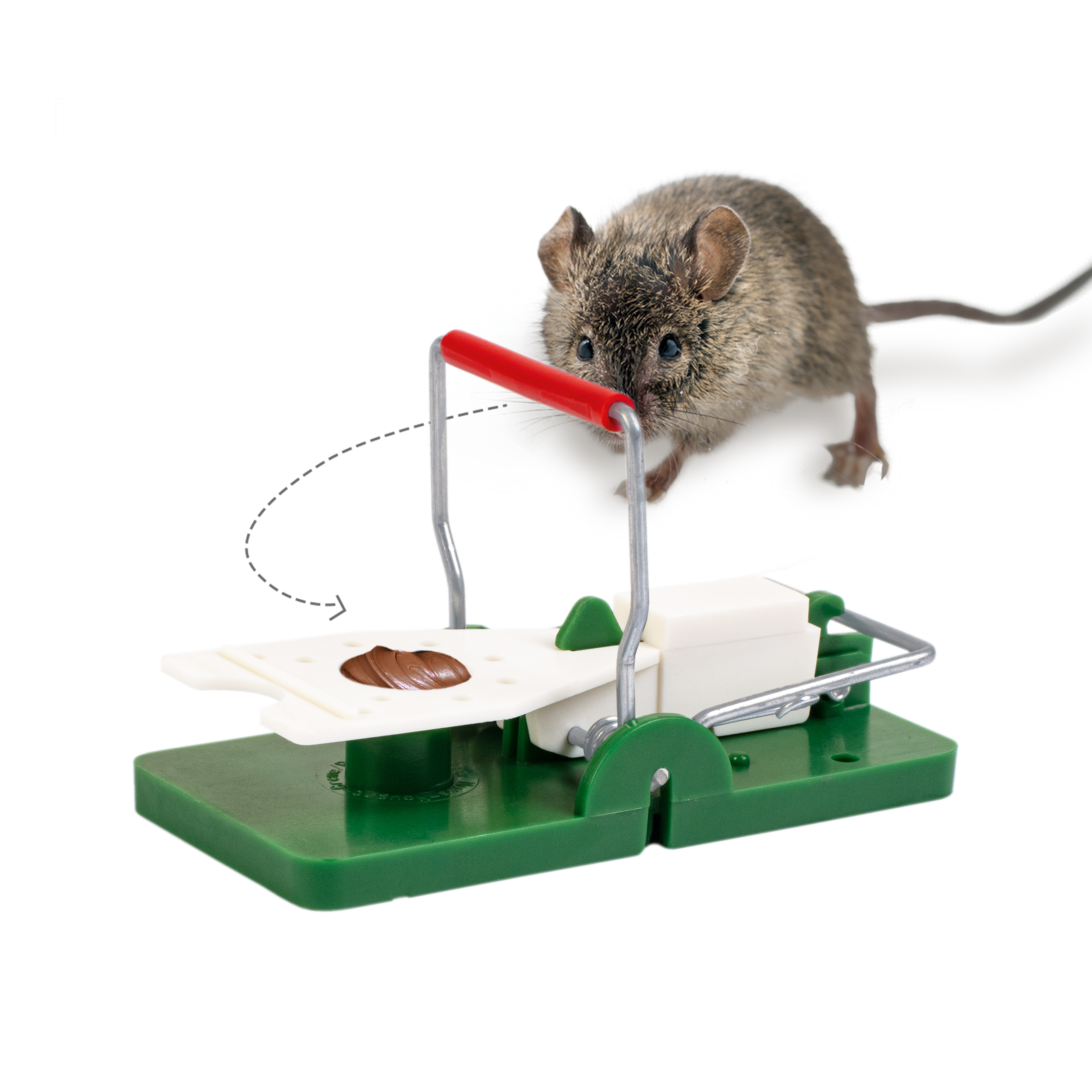 Bestücken Sie die Falle mit einem Köder, wie Nuss-Nougat-Creme, um die Nager anzulocken.