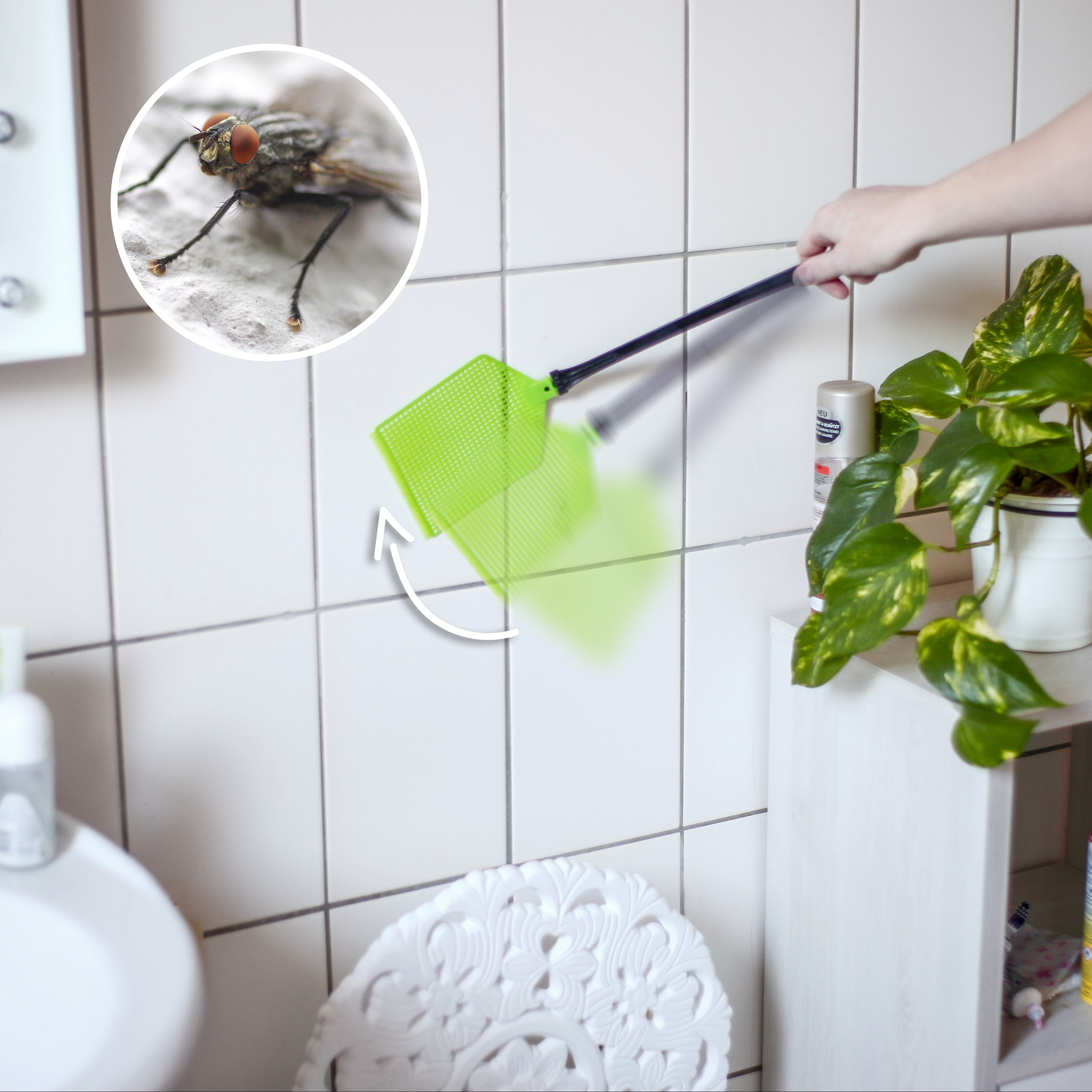 Die Fliegenklatsche ist schnell gezückt und die Fliege muss sich nur noch irgendwo hinsetzen.