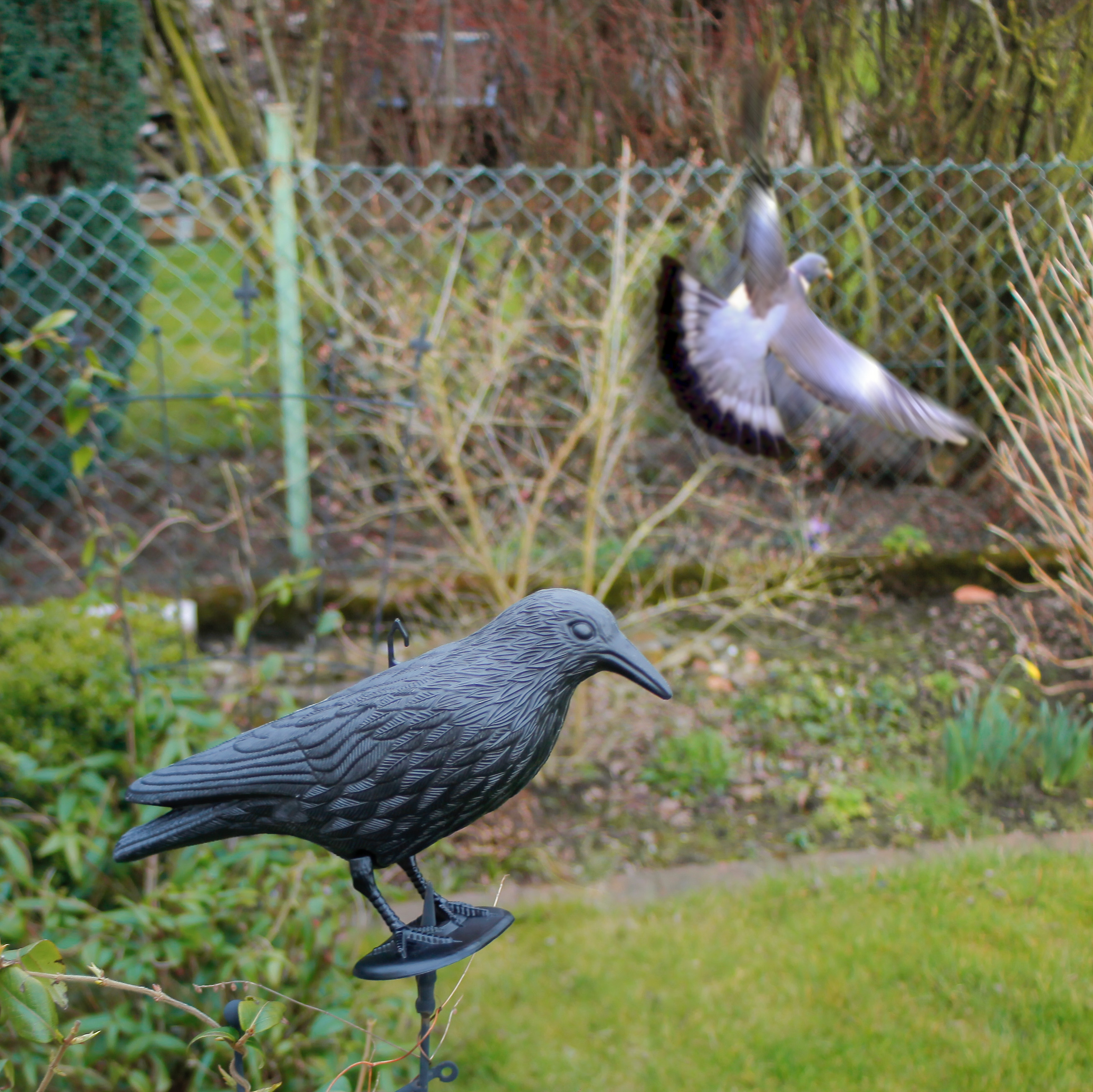 Der Taubenschreck wird einfach an der gewünschten Position aufgestellt und in regelmäßigen Abständen umgesetzt.