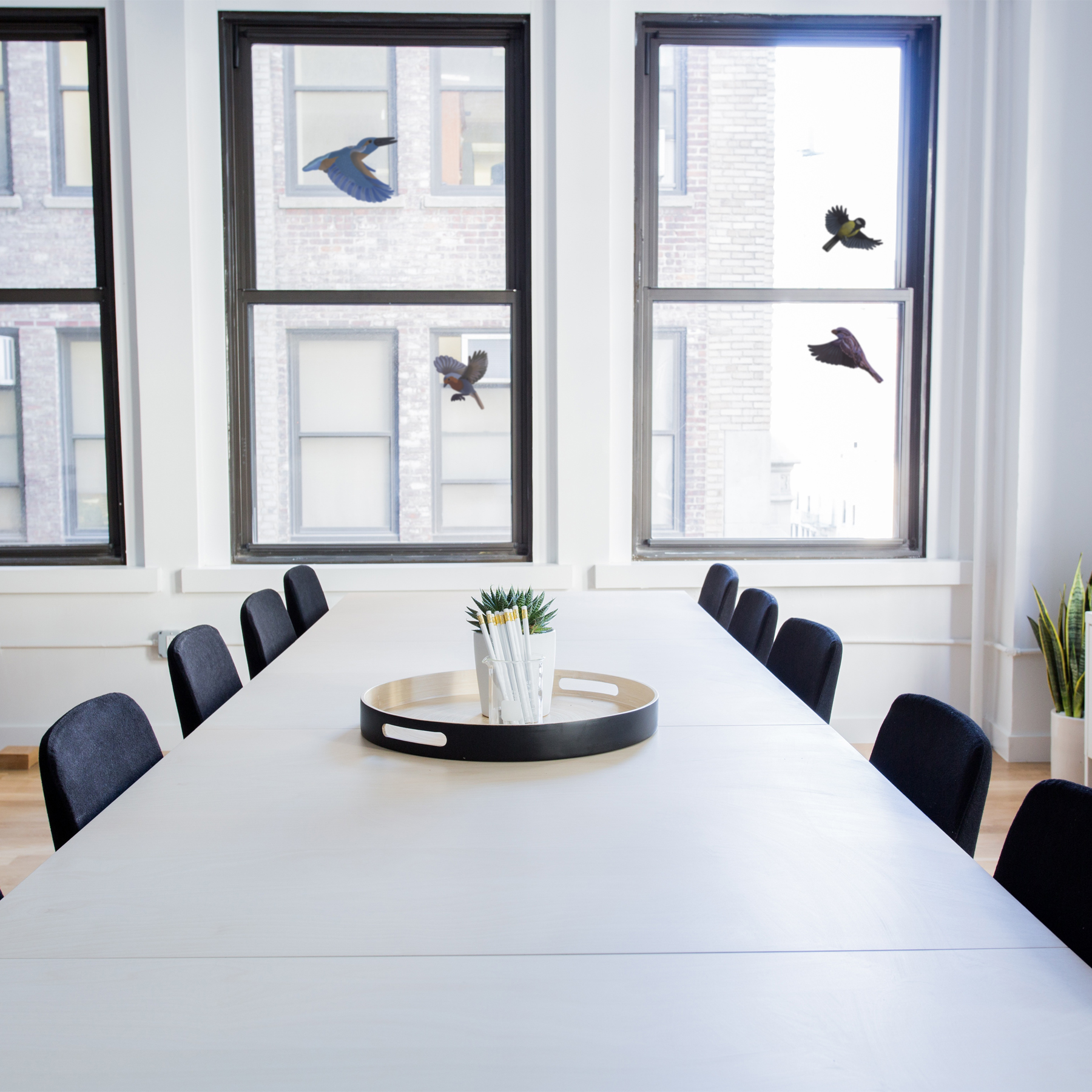 Vögel können Fensterscheiben nur schwer als Hindernis erkennen und fliegen deswegen dagegen.