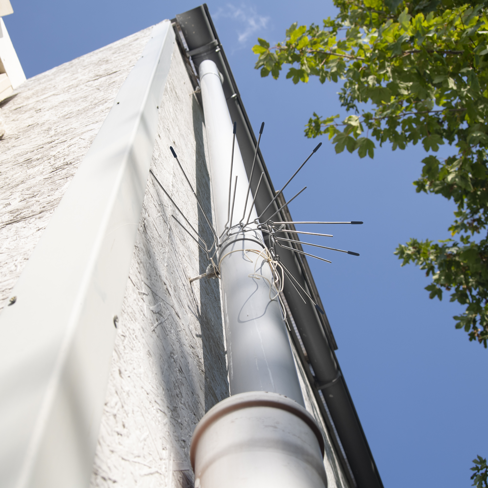 Ceinture de protection anti-martres lot de 2