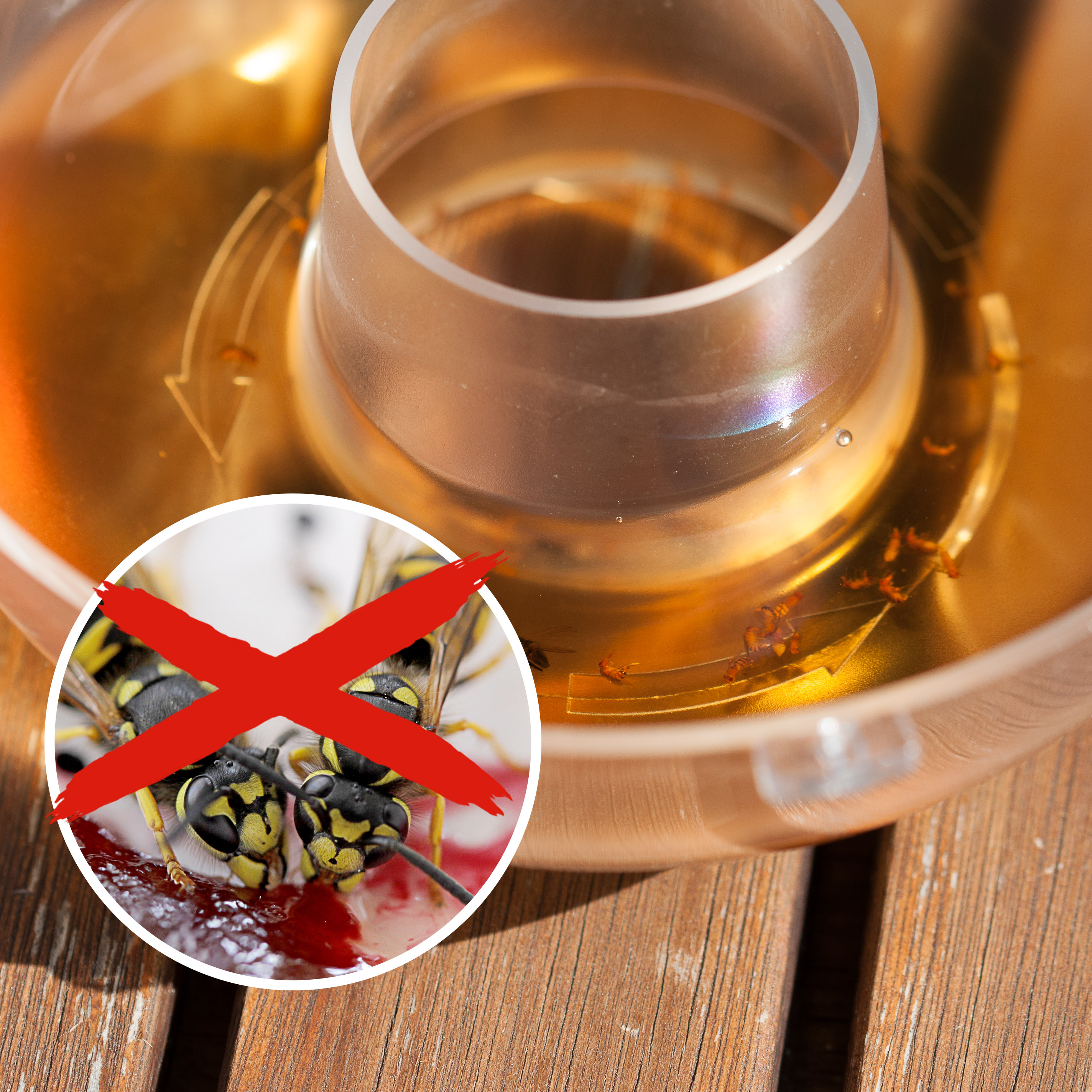 Piège à guêpes | lot de 2