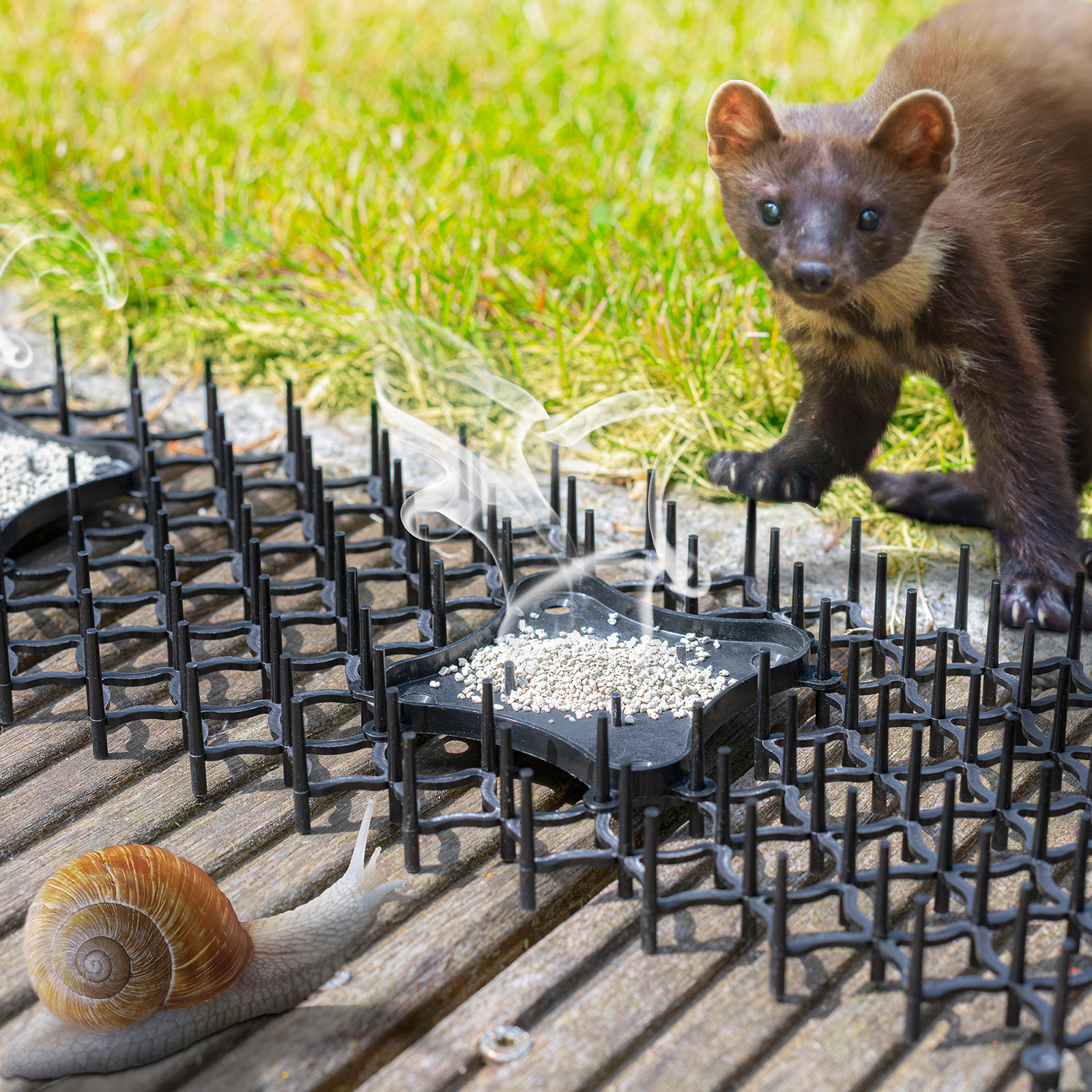 Marder fernhalten mit Dornengitter: die Tiere haben empfindliche Pfoten. Auch Schnecken kriechen ungern über das Hindernis.