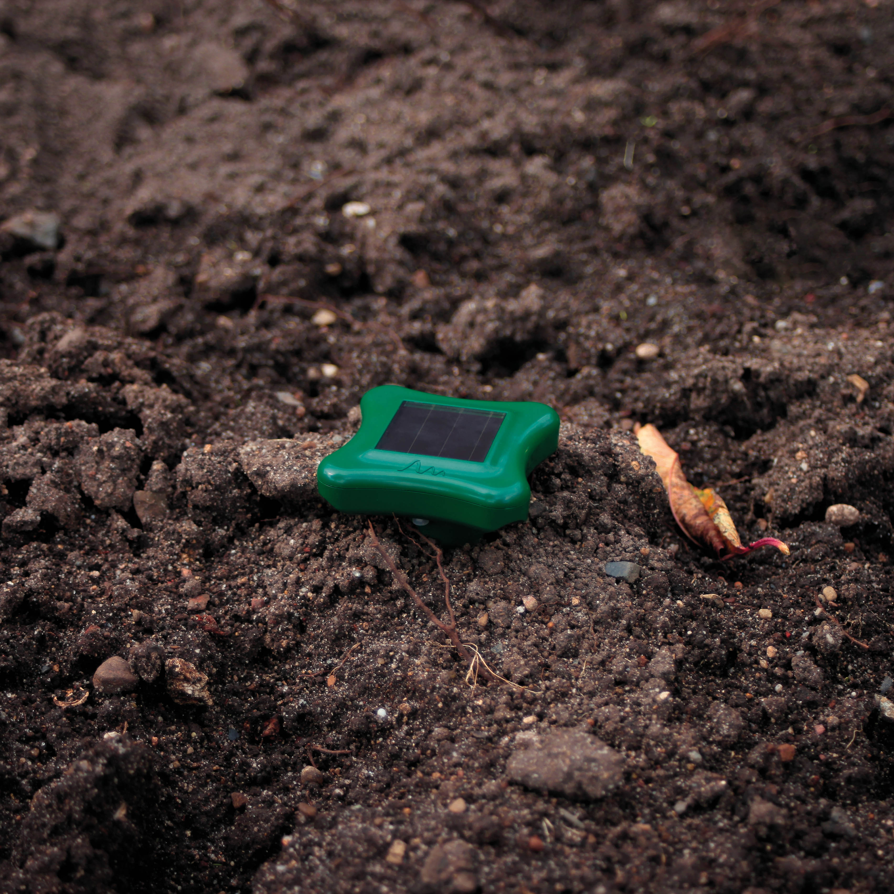 Die Solar Ameisen-Abwehr hilft Ihnen ihren Garten und ihre Pflanzen vor Ameisen zu schützen.
