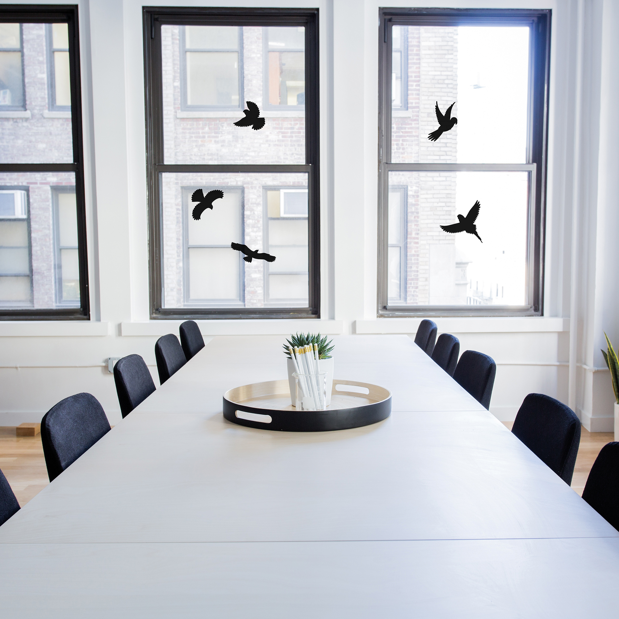 Autocollants Anti-Collision pour Oiseaux