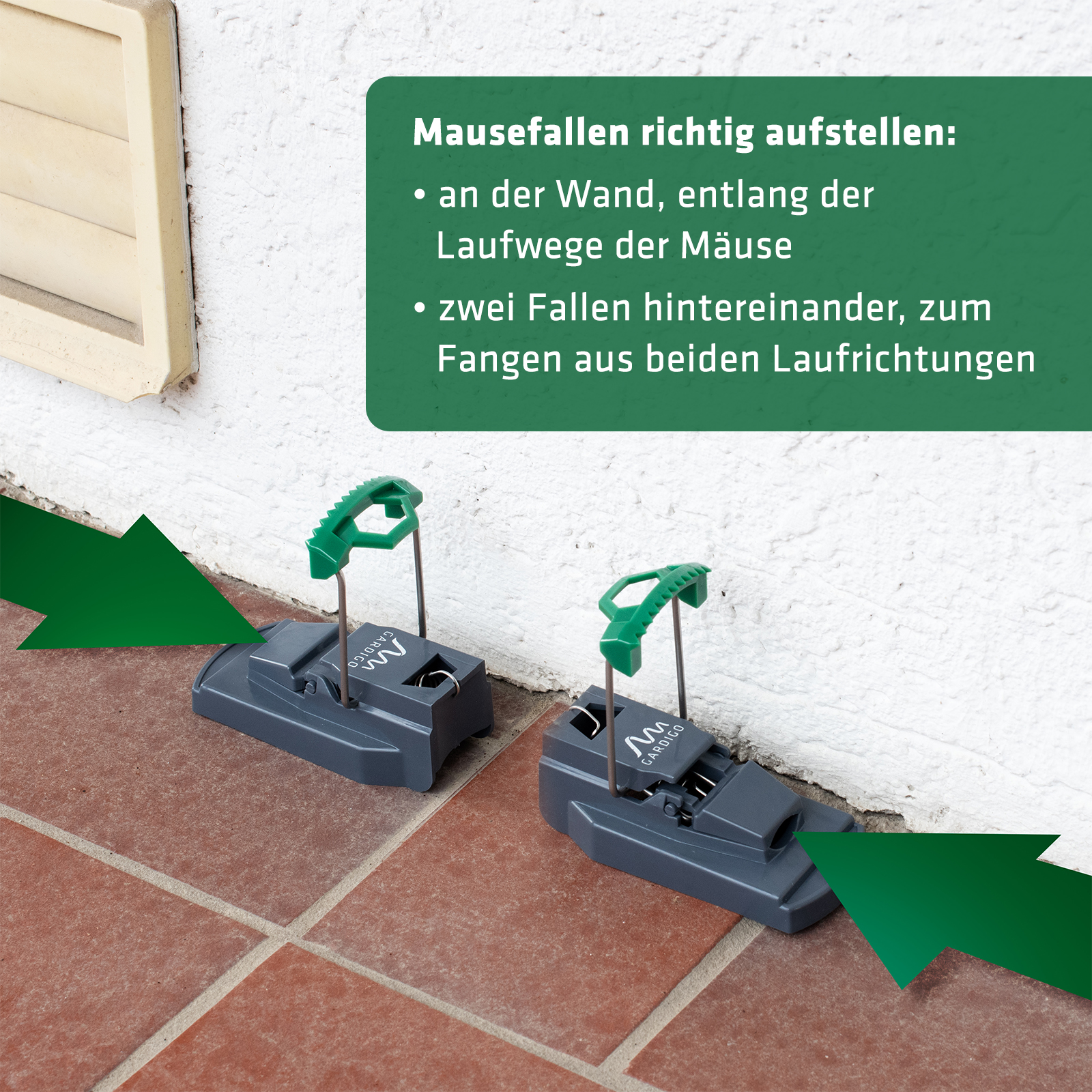 Mausefalle richtig aufstellen