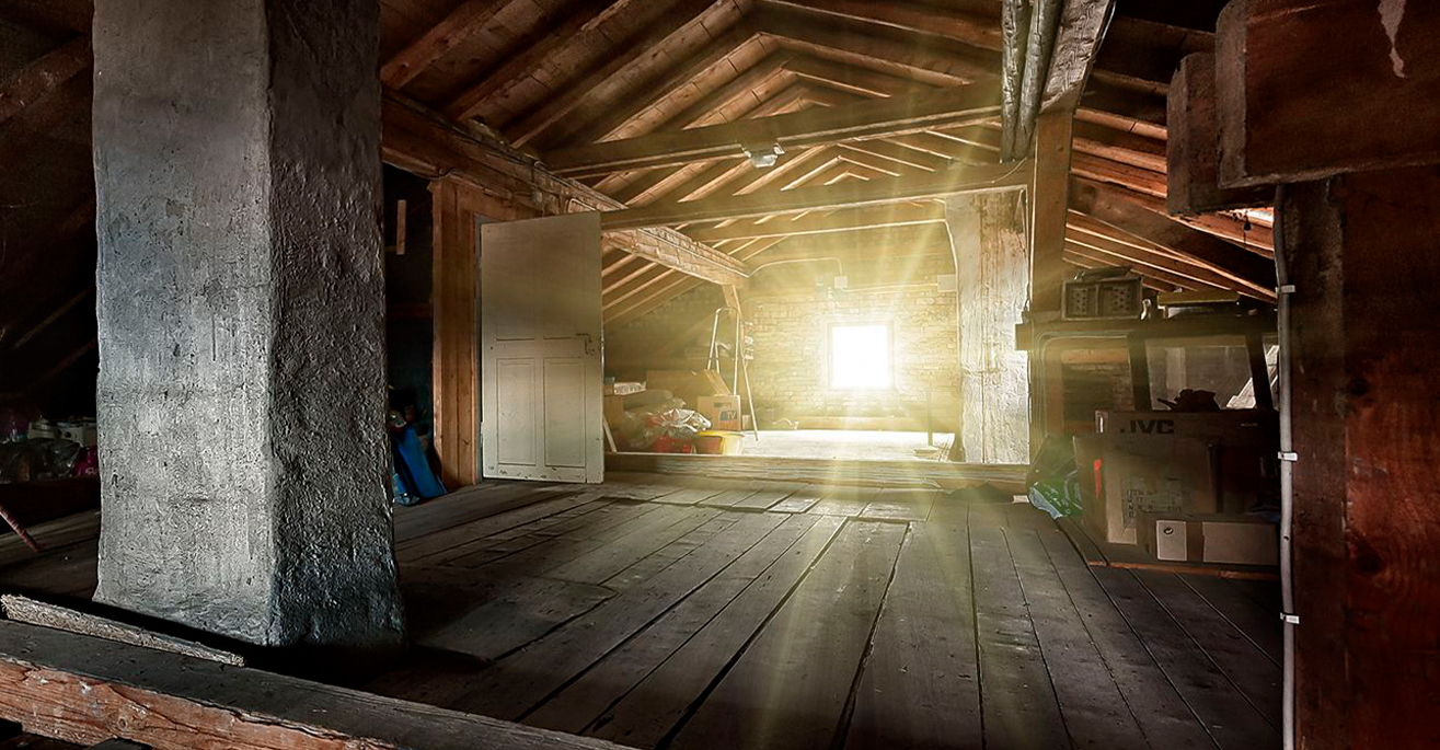 Waschbären vom Dachboden vertreiben