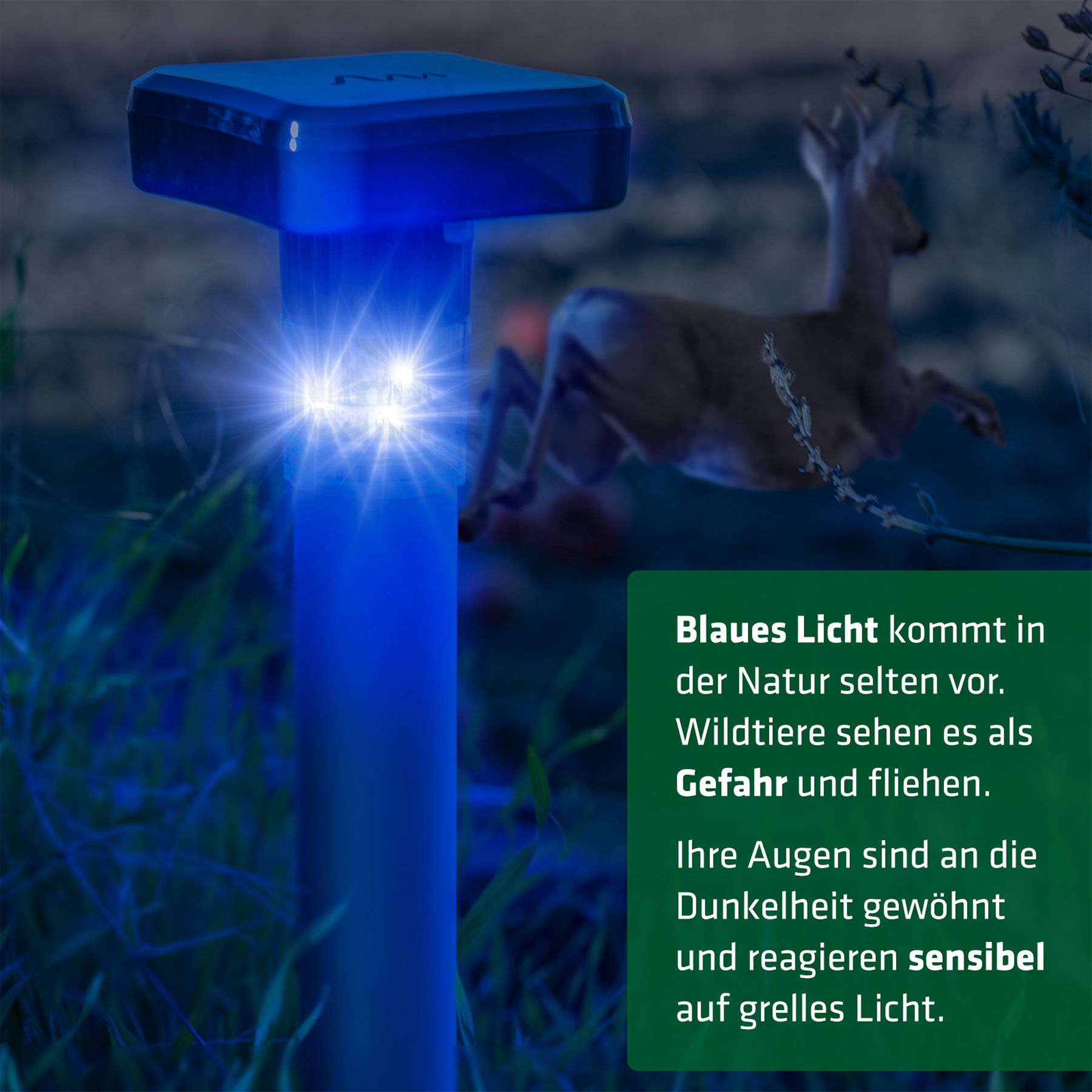 Bei Problemen mit Rehwild auf Feldern und Sportplätzen – Wildtiere vertreiben mit blauem Licht.